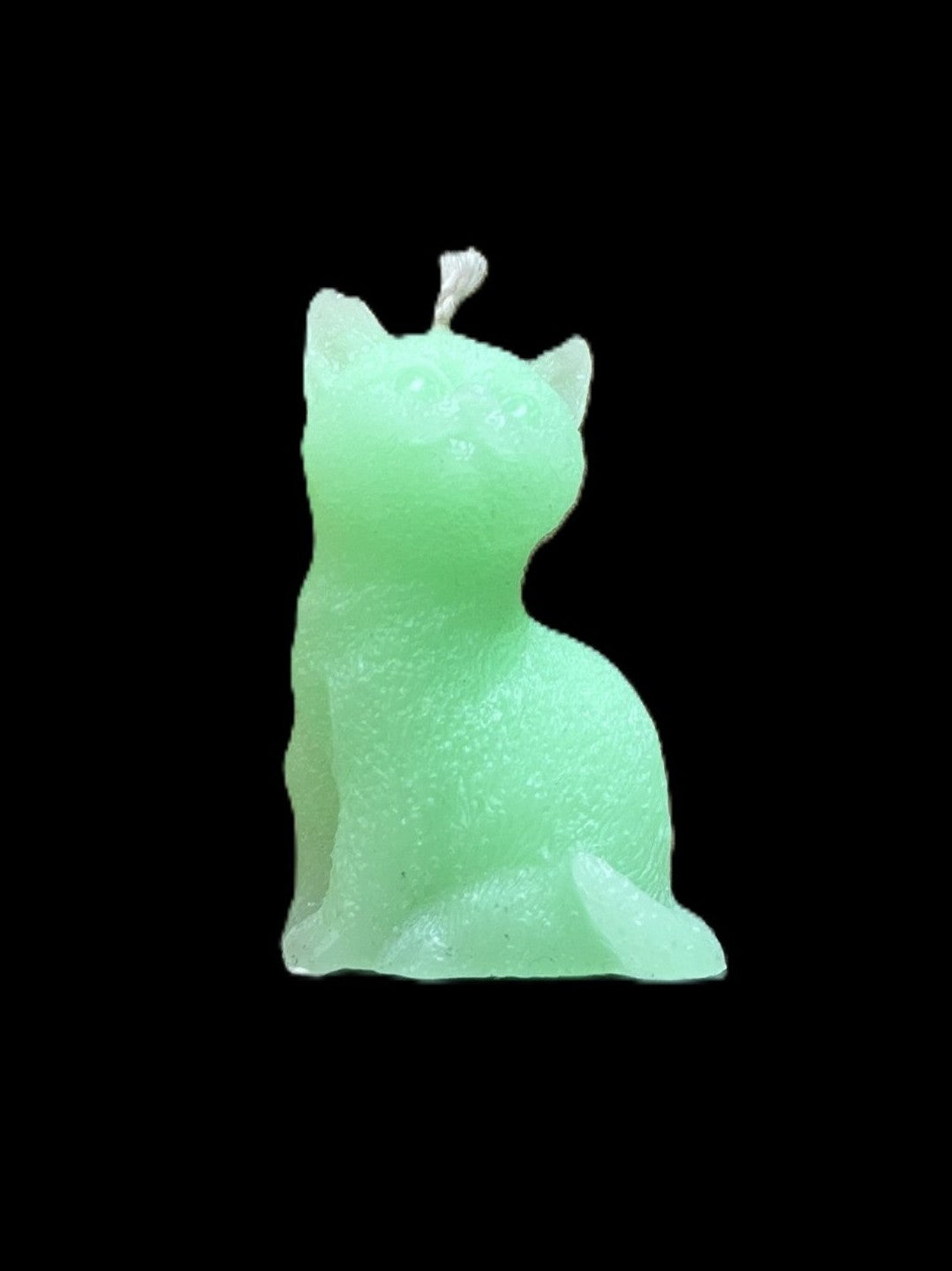 GATTO verde