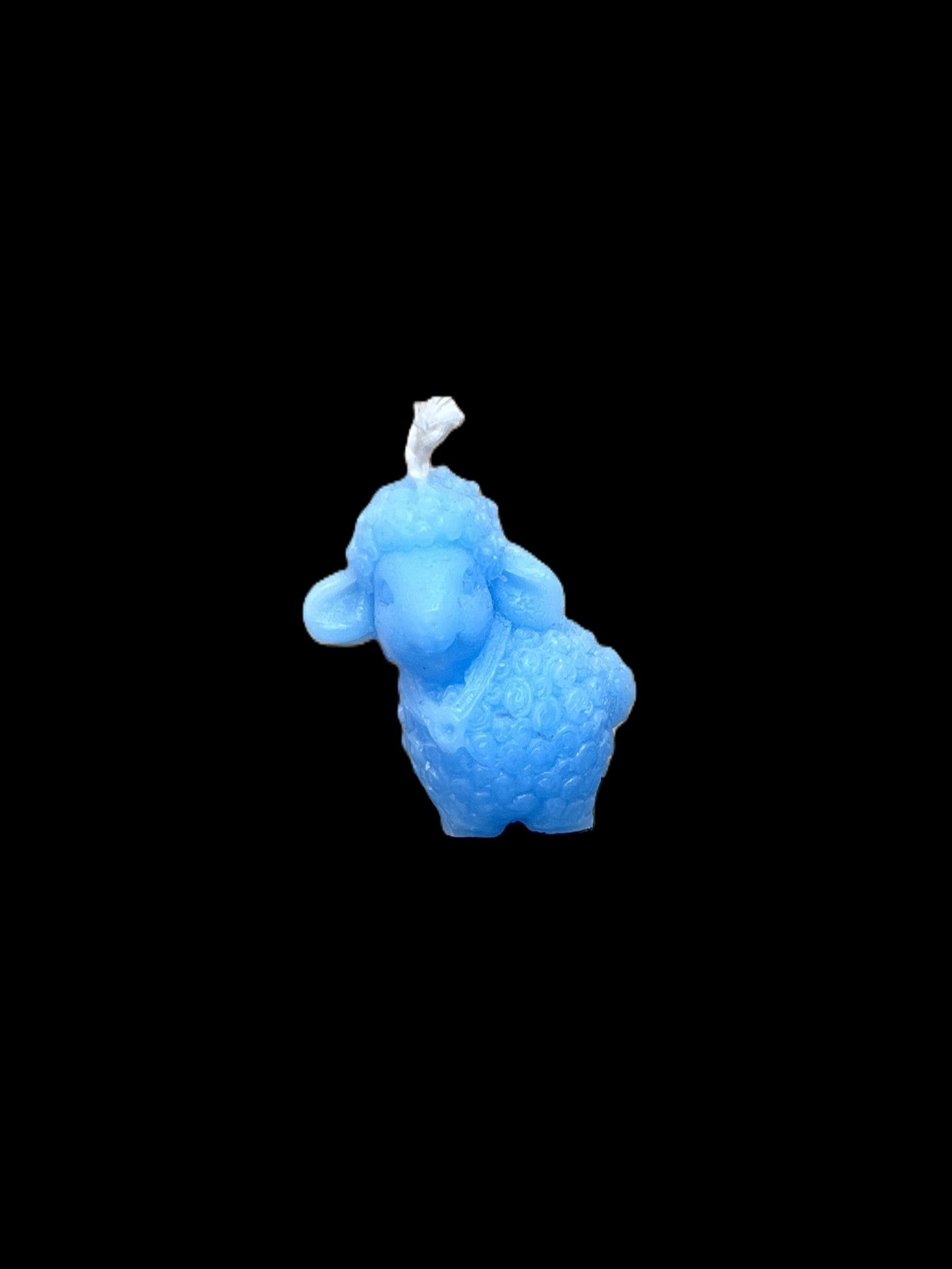 PECORA azzurro