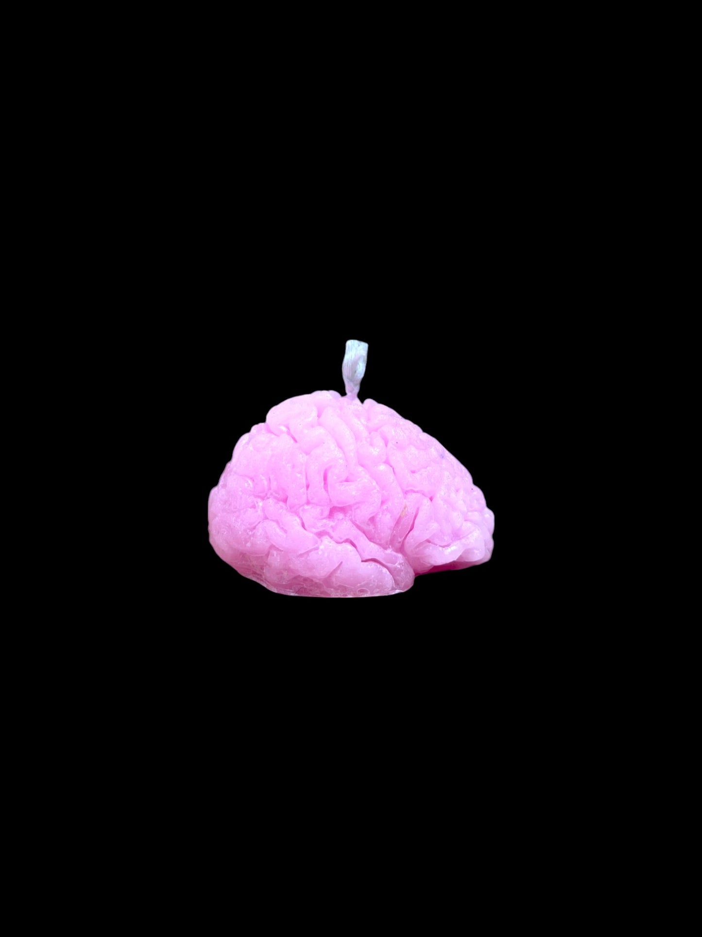 CERVELLO rosa