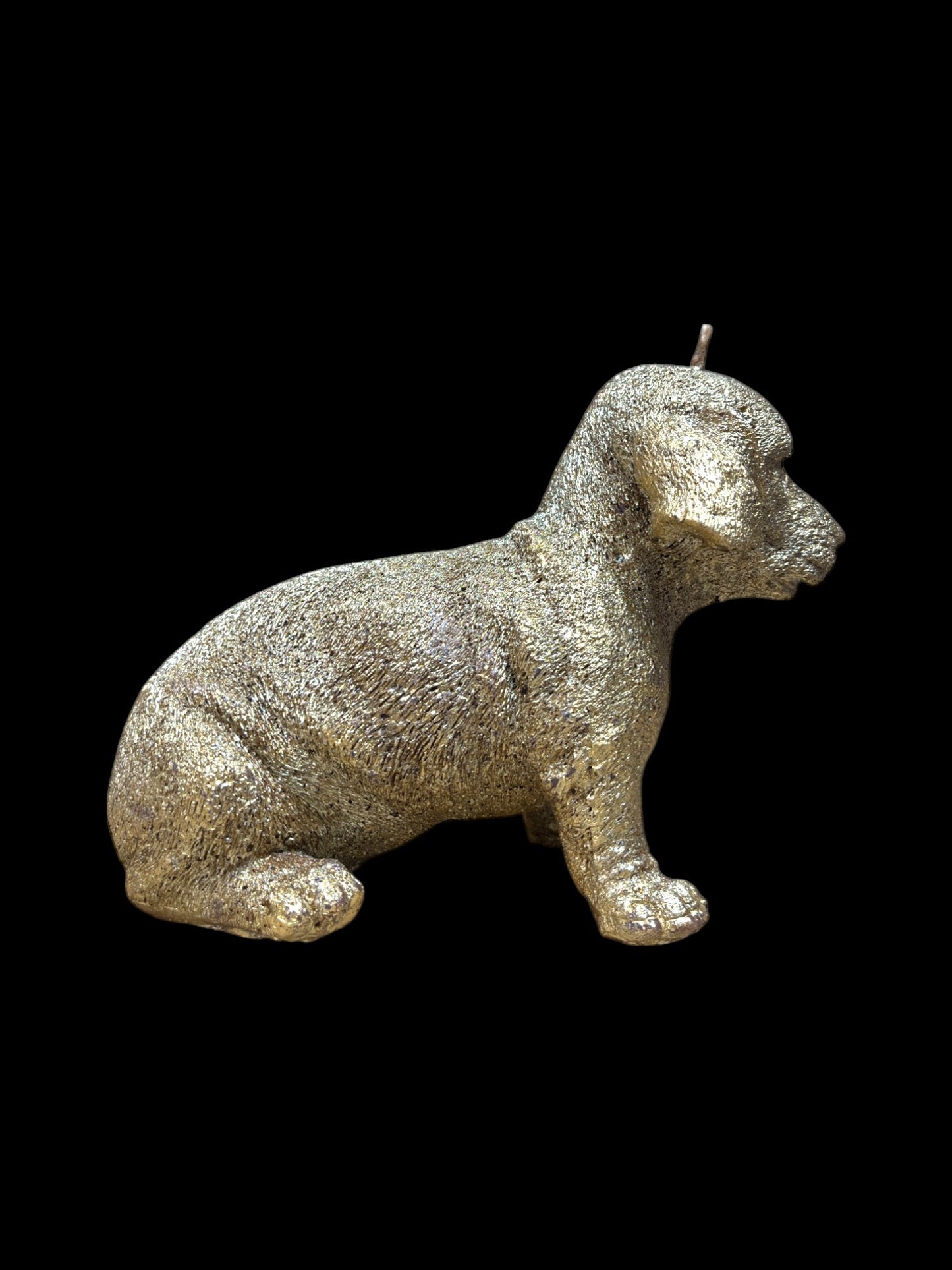 BASSOTTO grande oro