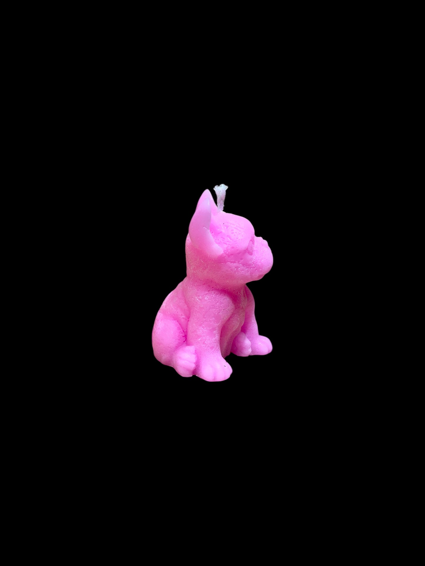 BULLDOG rosa