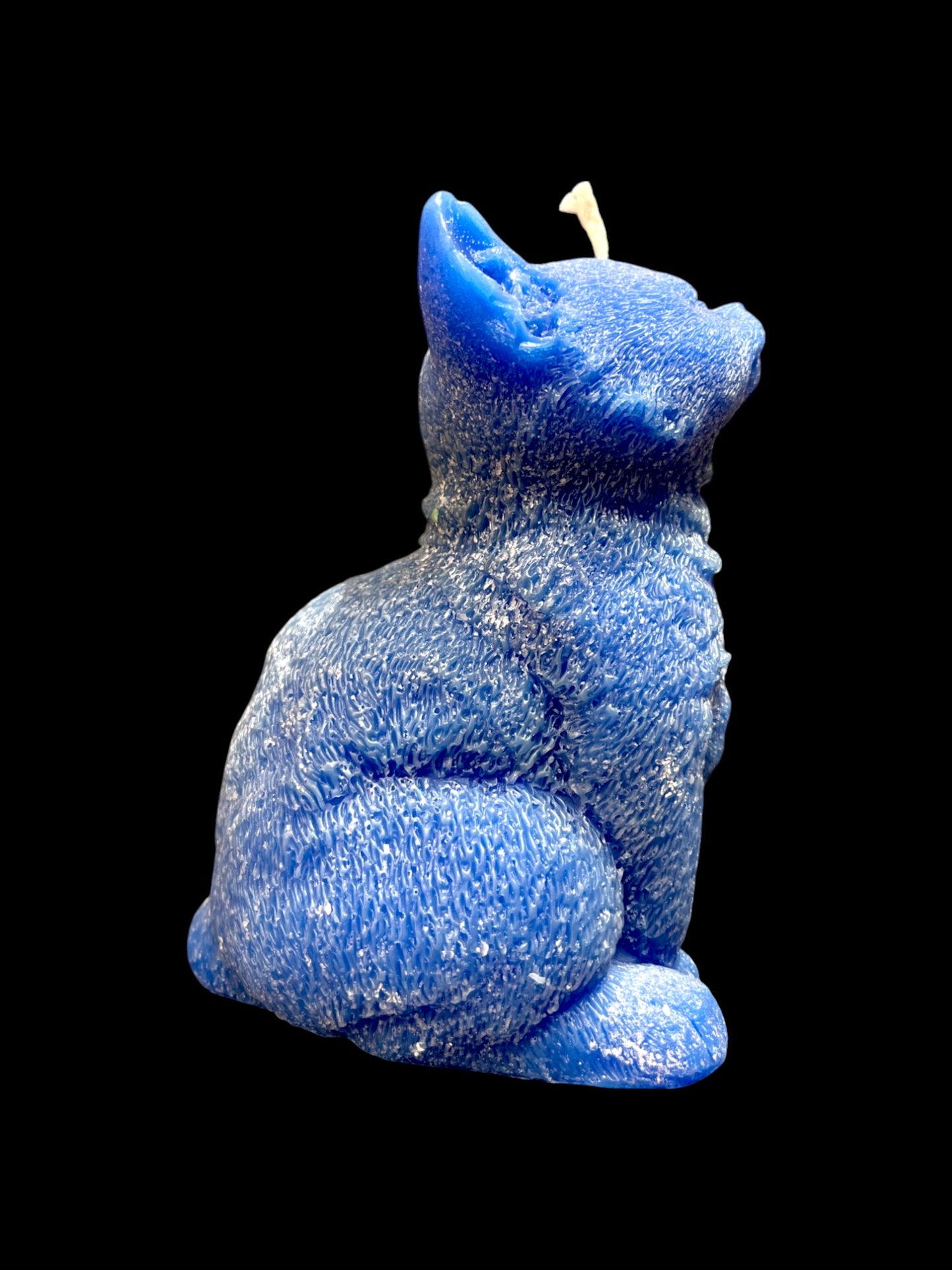 GATTO grande blu
