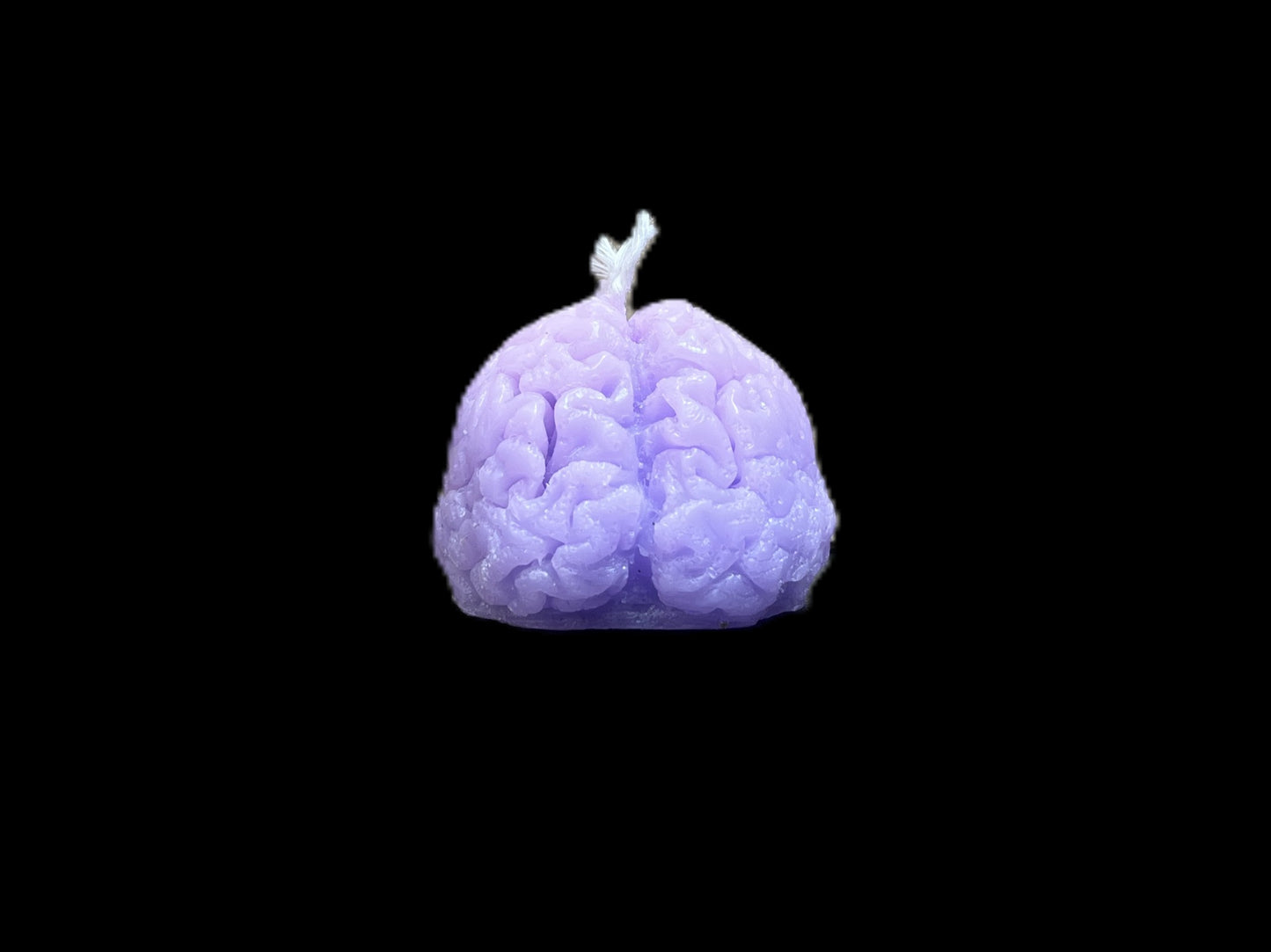 CERVELLO viola