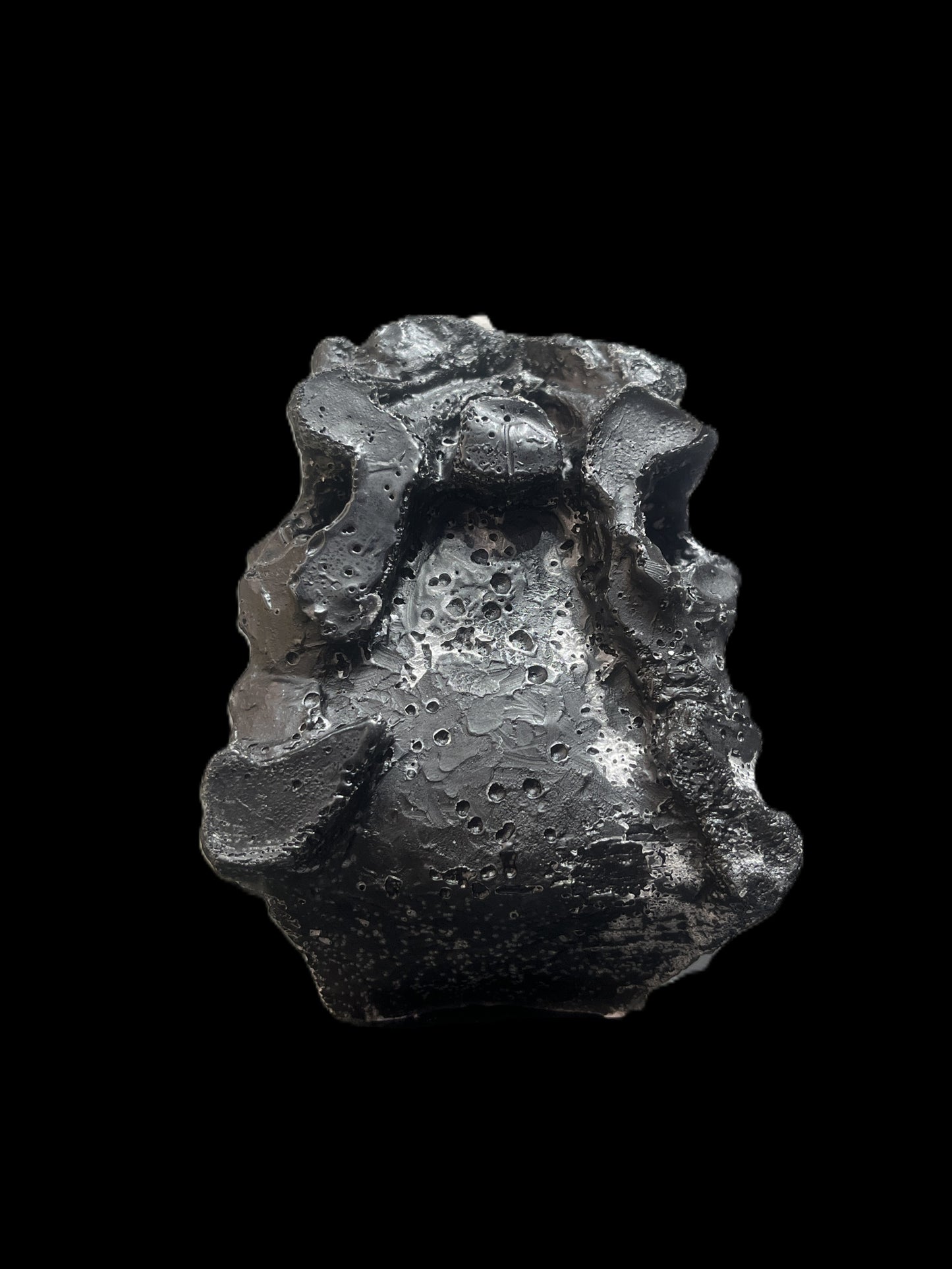 TESCHIO DI T-REX nero