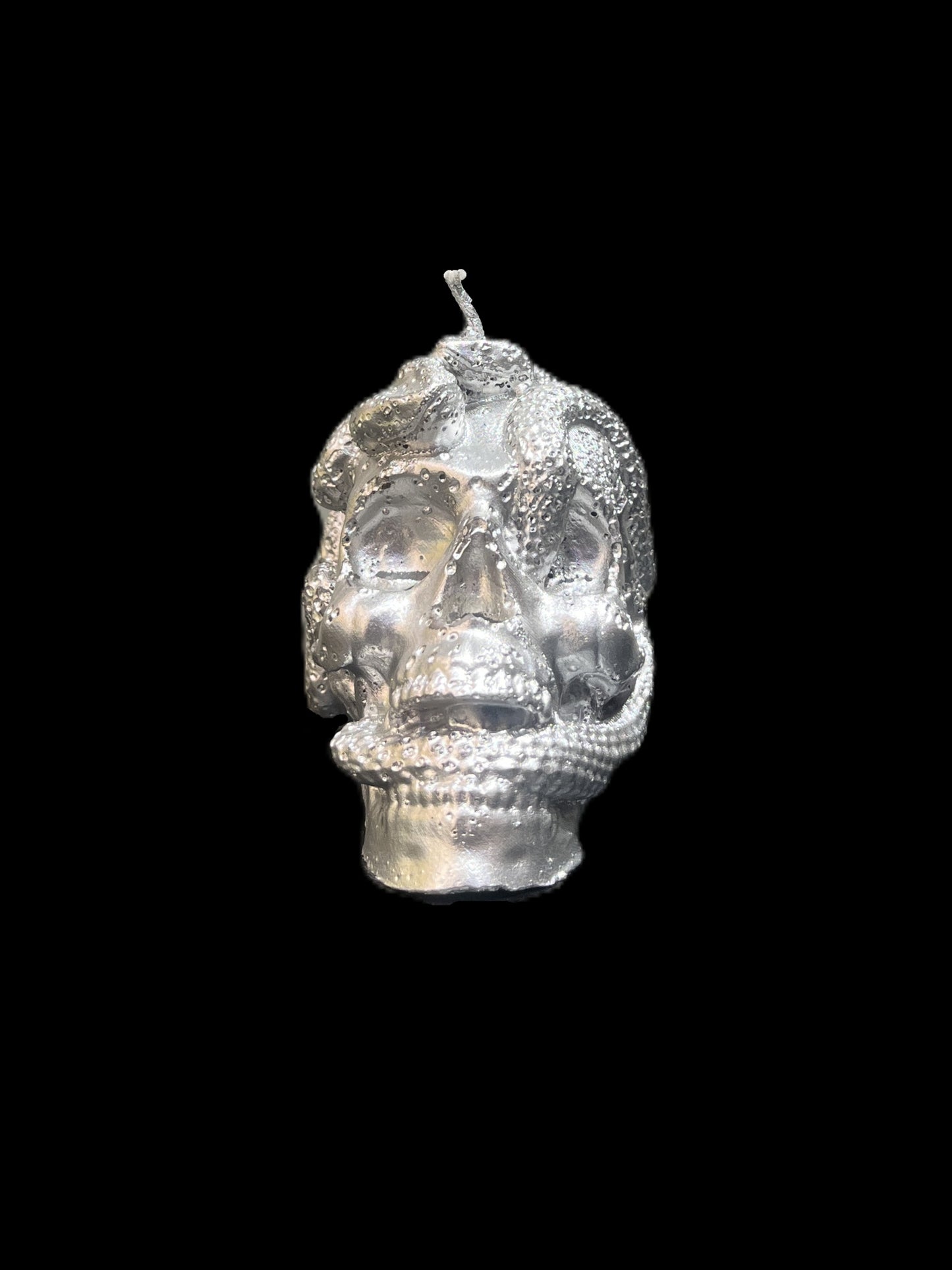 TESCHIO ATTRAVERSATO DA SERPENTI argento