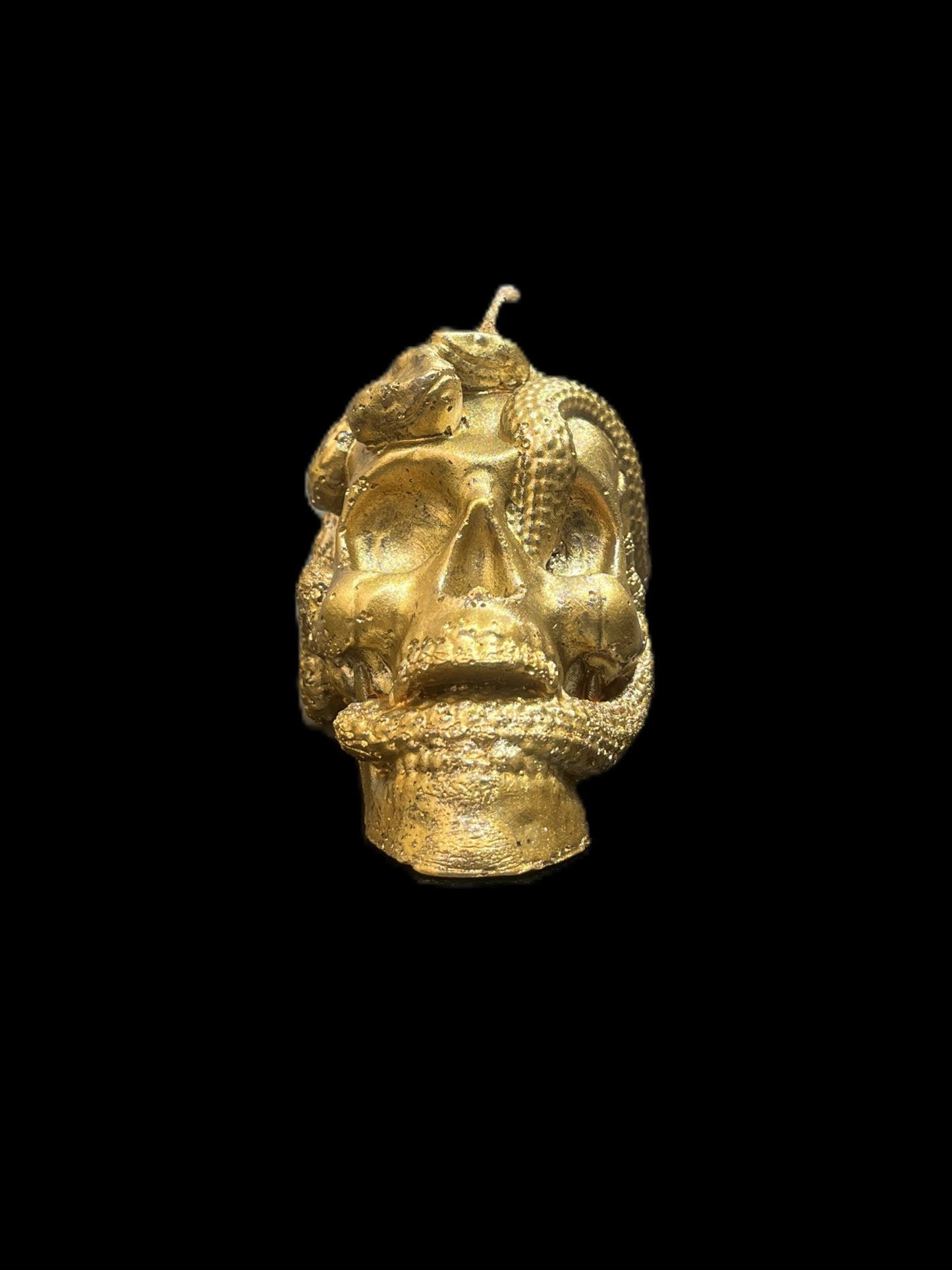 TESCHIO ATTRAVERSATO DA SERPENTI oro