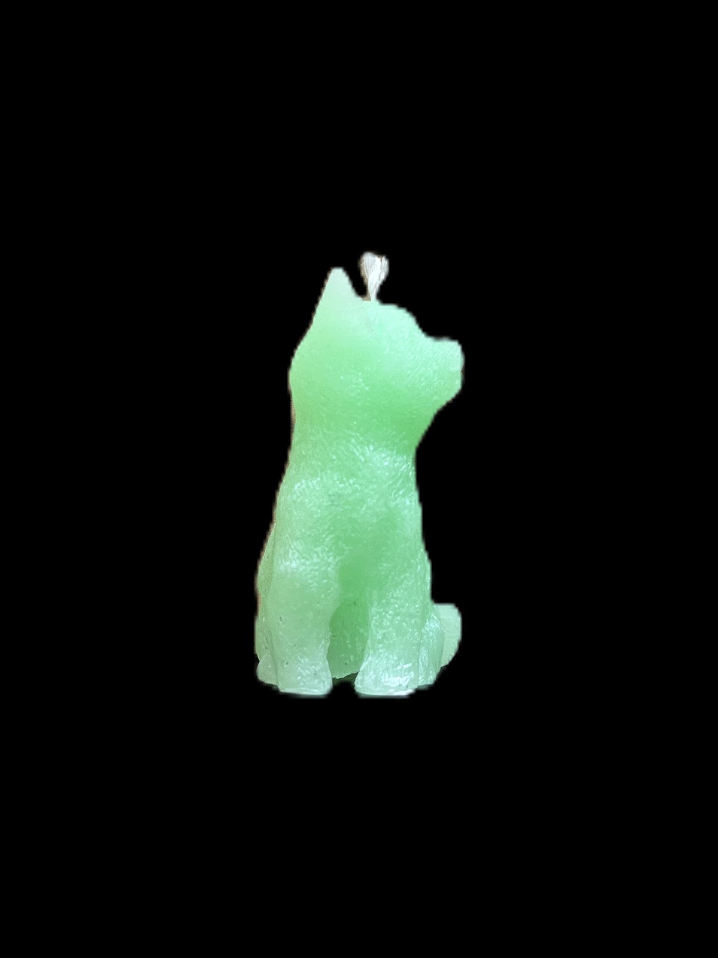 GATTO verde