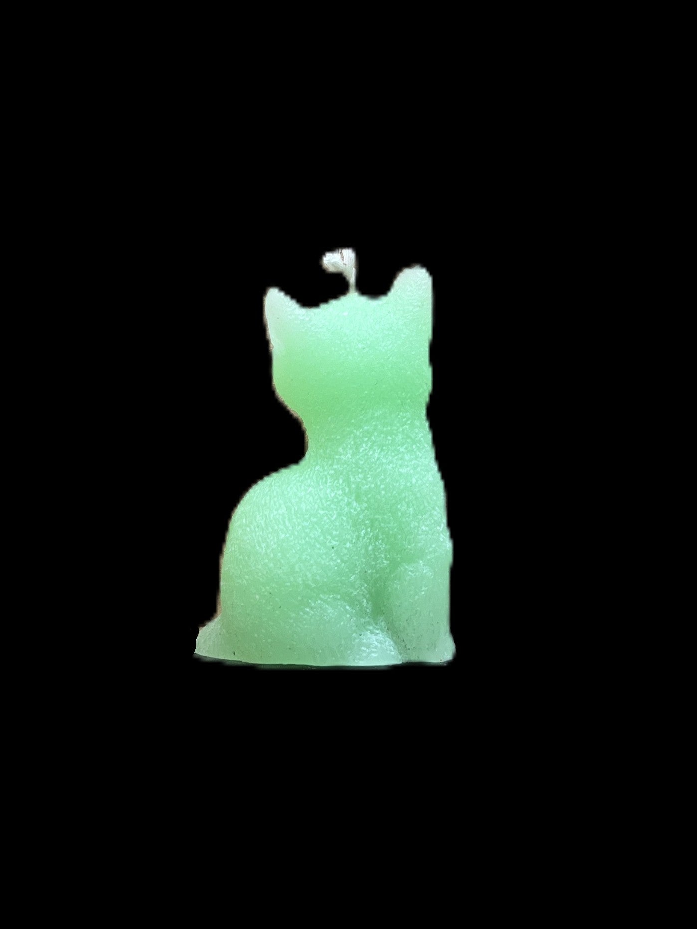 GATTO verde