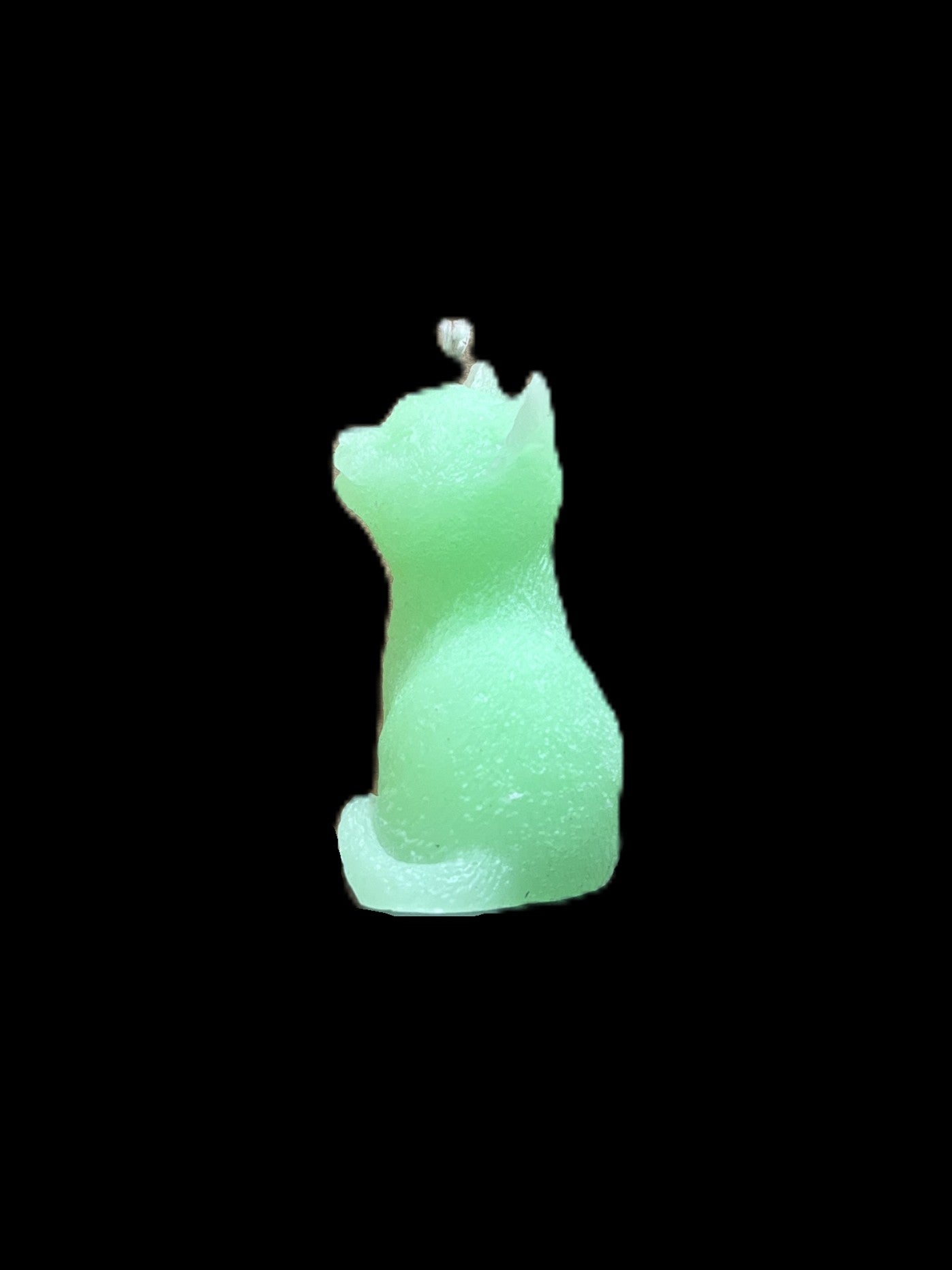 GATTO verde