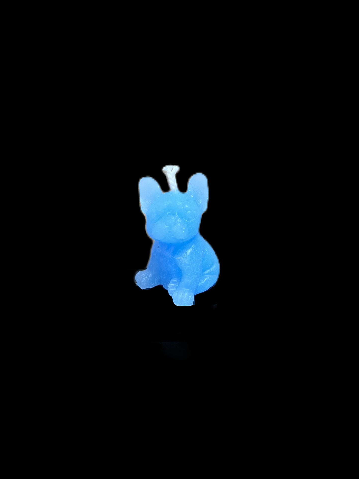BULLDOG PICCOLO azzurro