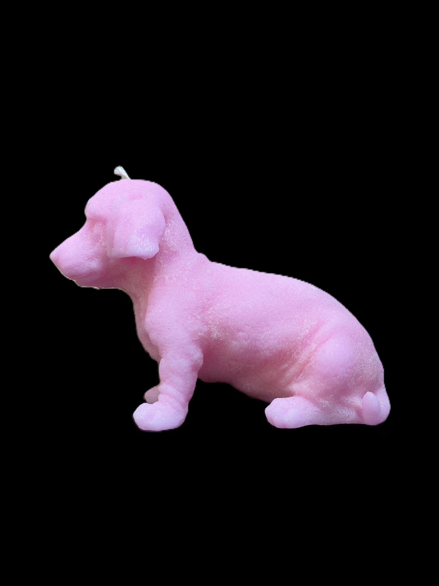 BASSOTTO grande rosa