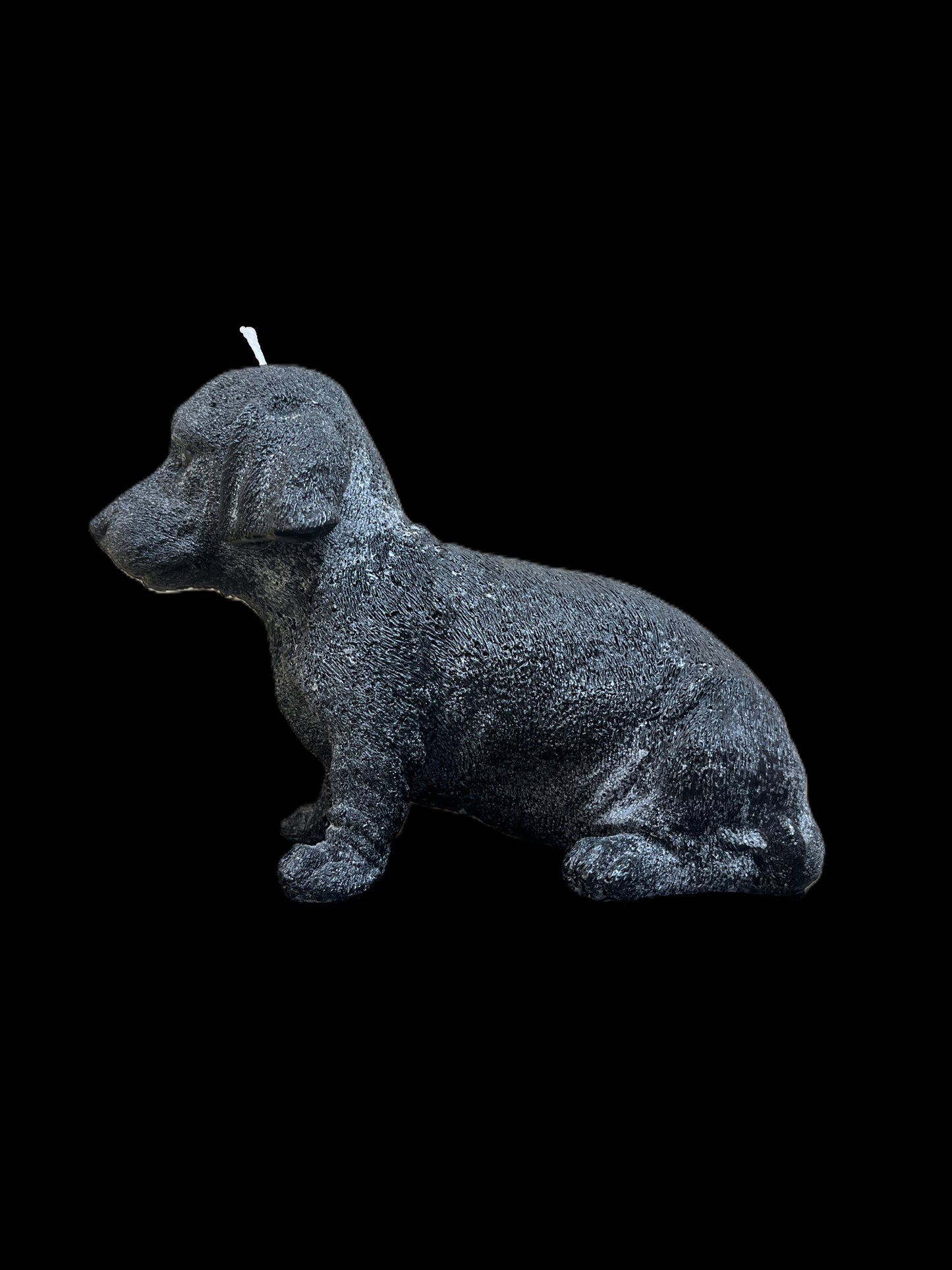 BASSOTTO grande nero