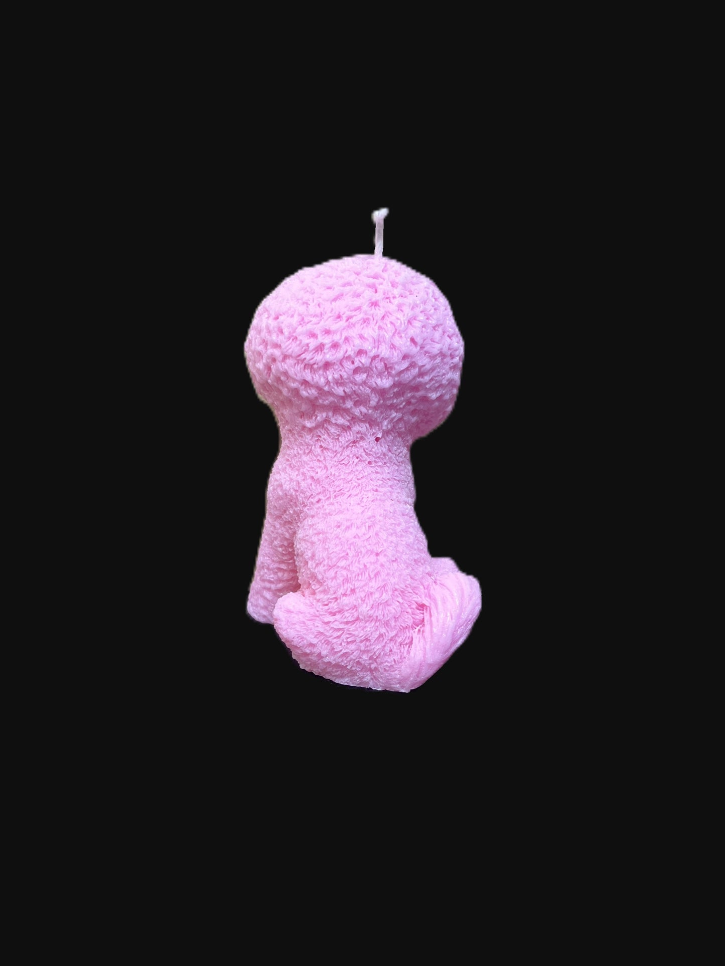 BICHON FRISè rosa