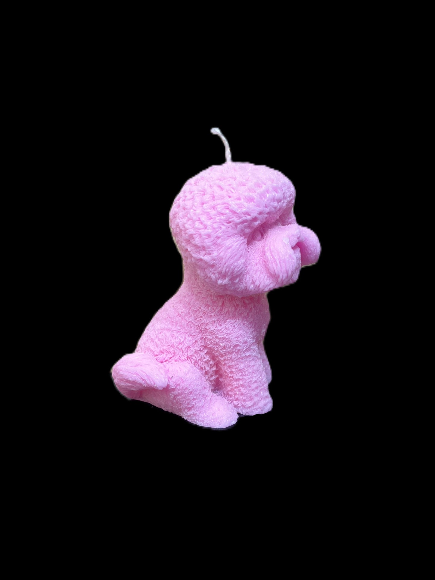 BICHON FRISè rosa