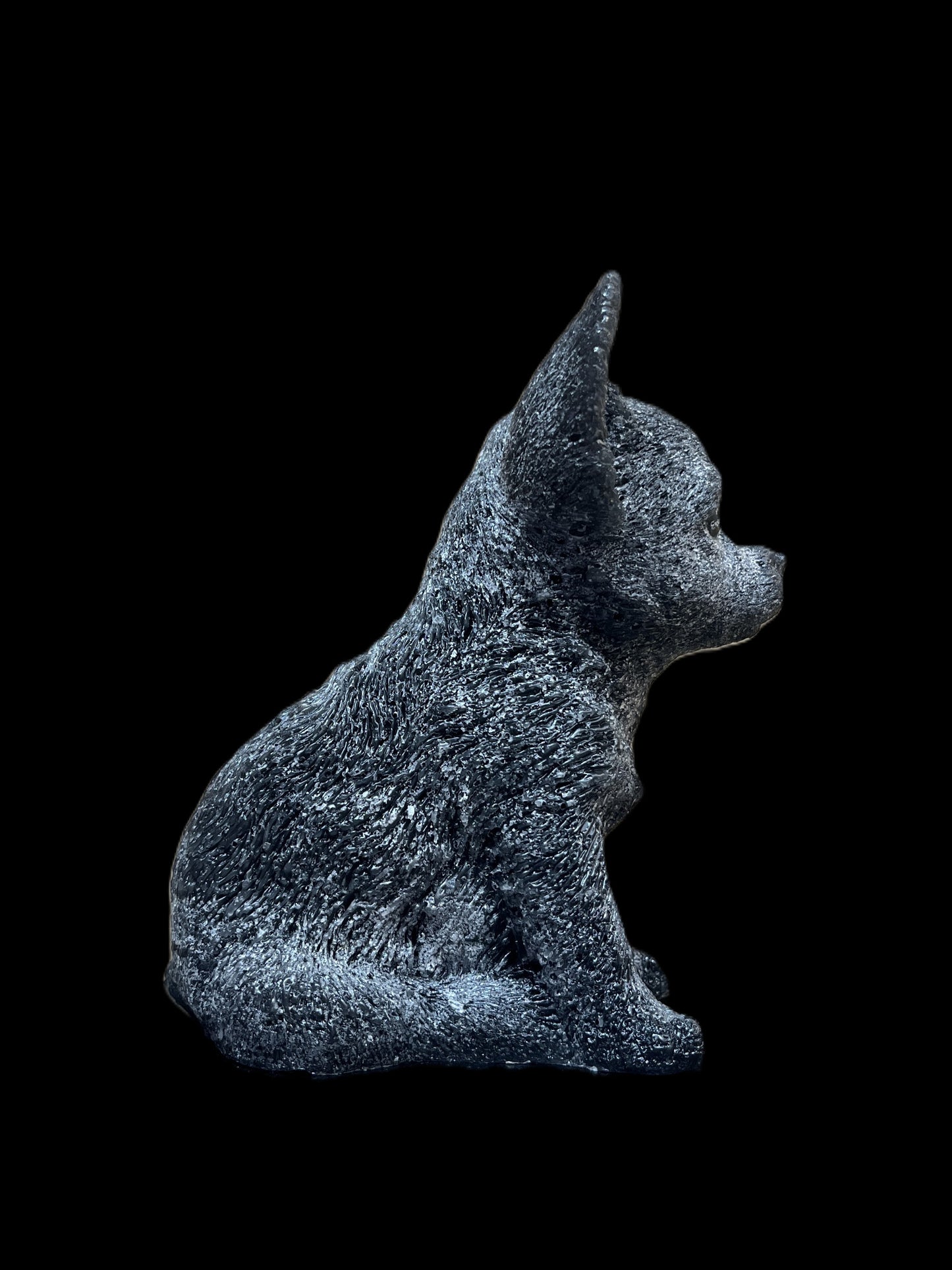 CHIHUAHUA nero