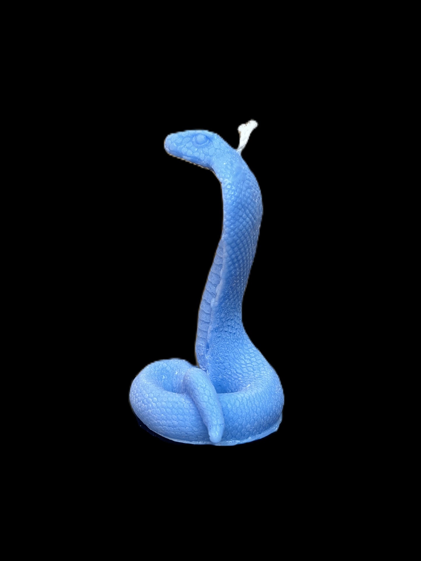 SERPENTE COBRA azzurro