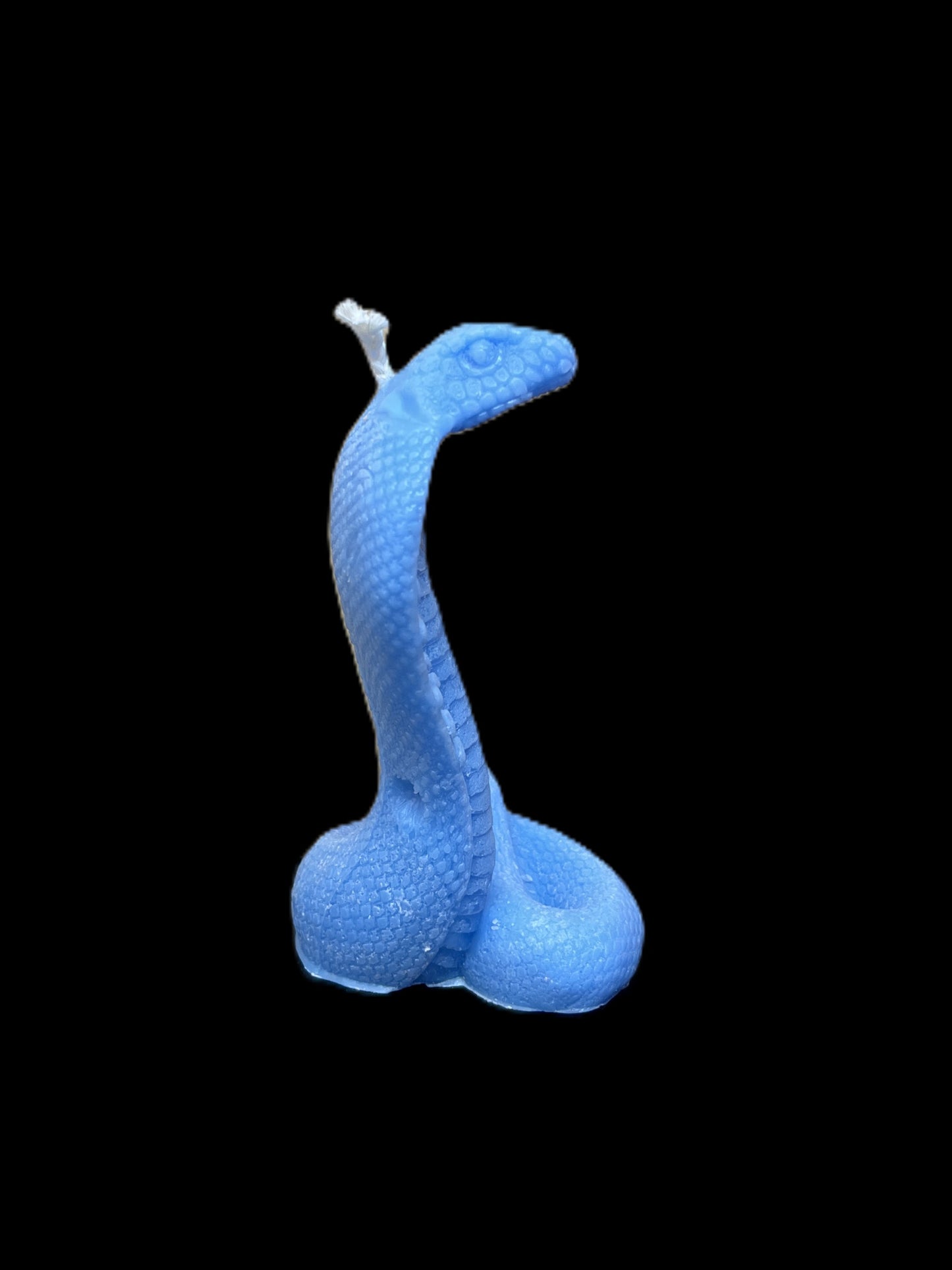 SERPENTE COBRA azzurro