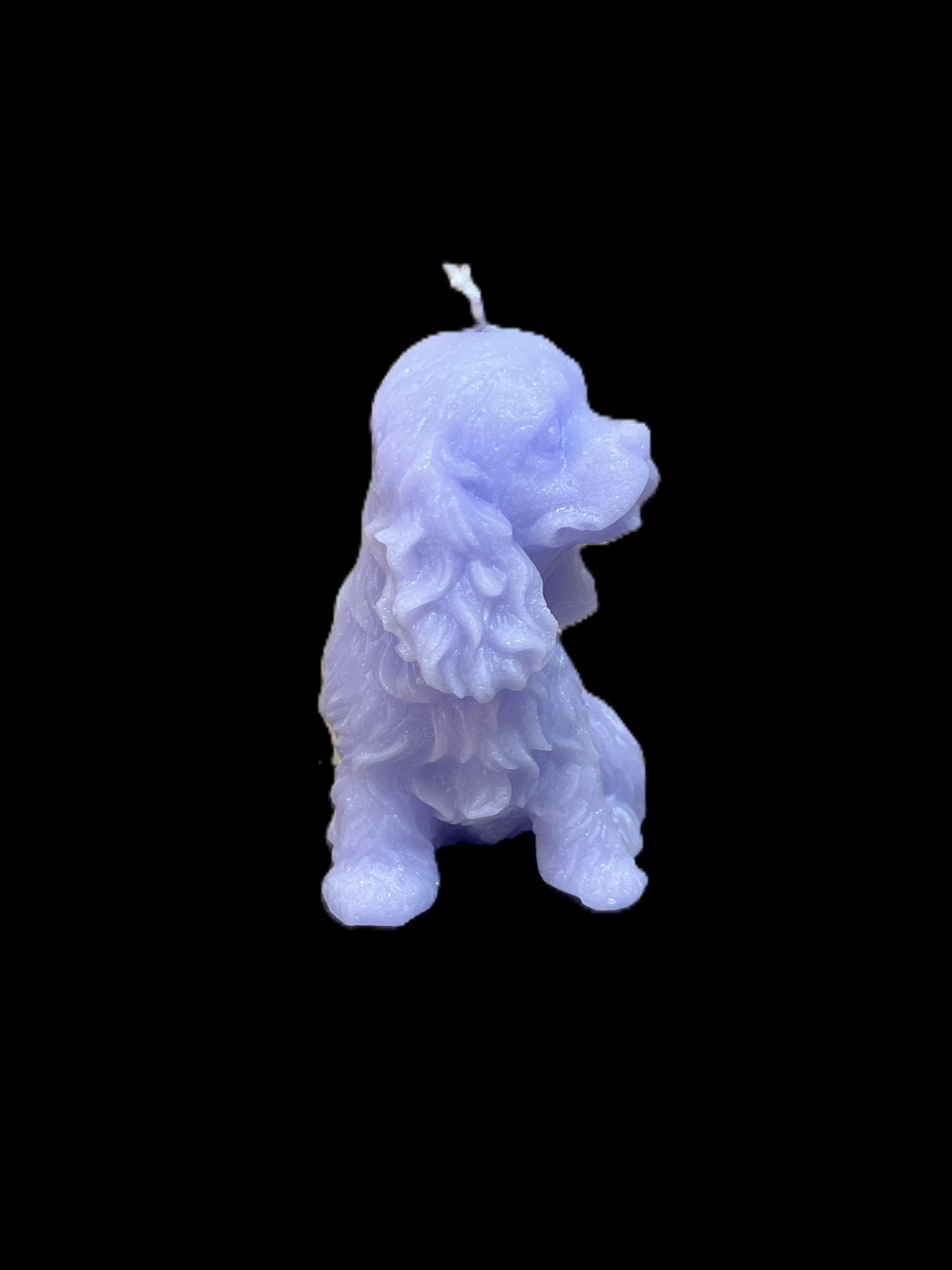 SPANIEL viola