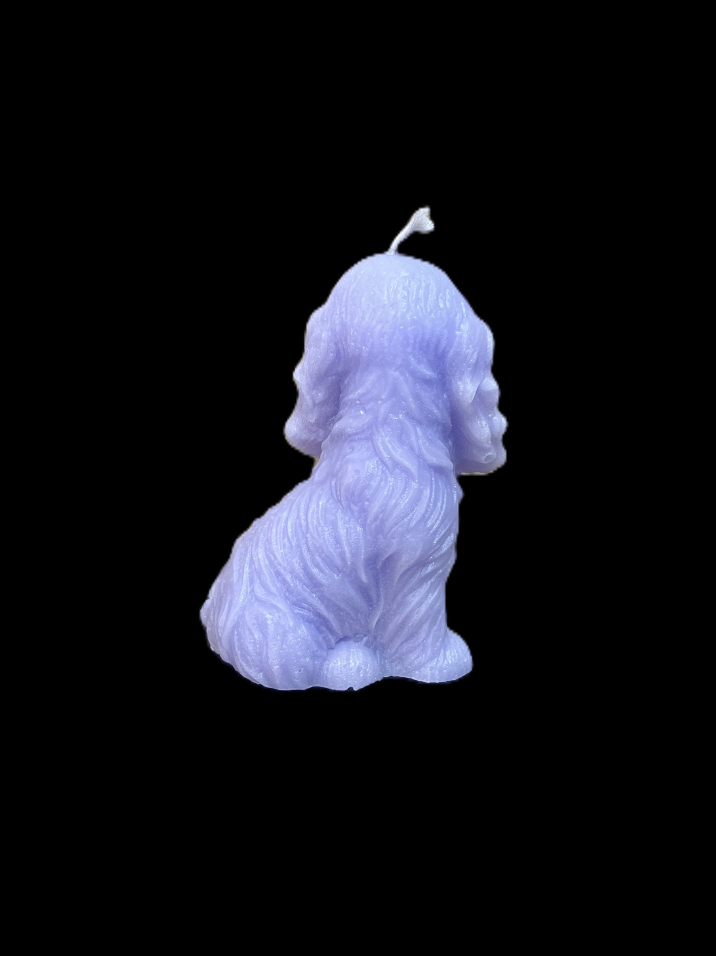 SPANIEL viola