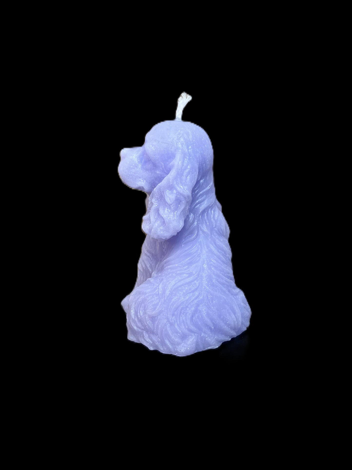 SPANIEL viola