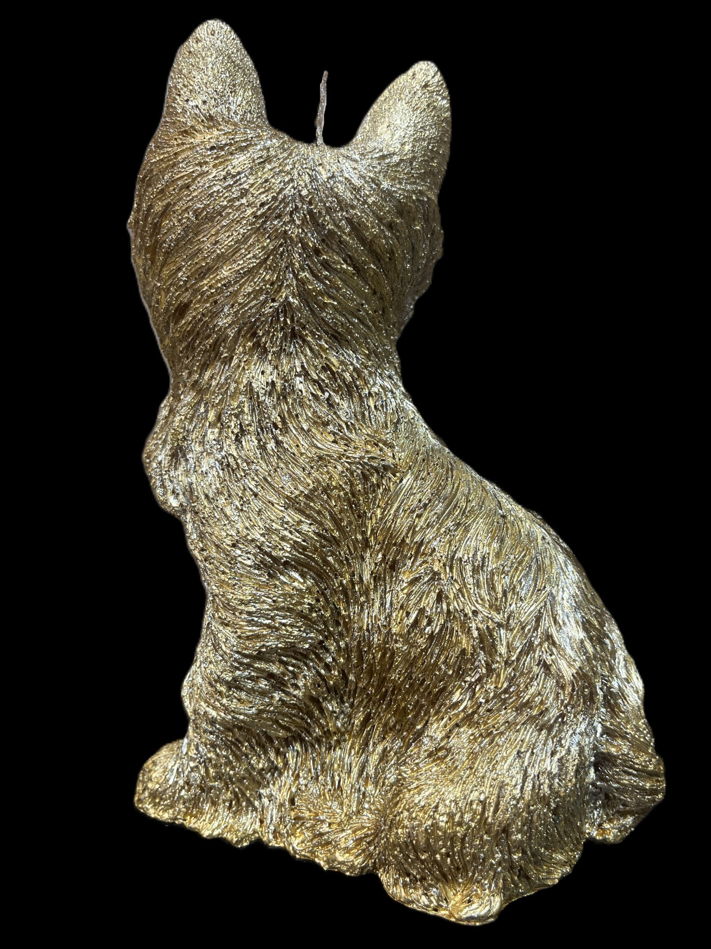 YORKSHIRE TERRIER oro