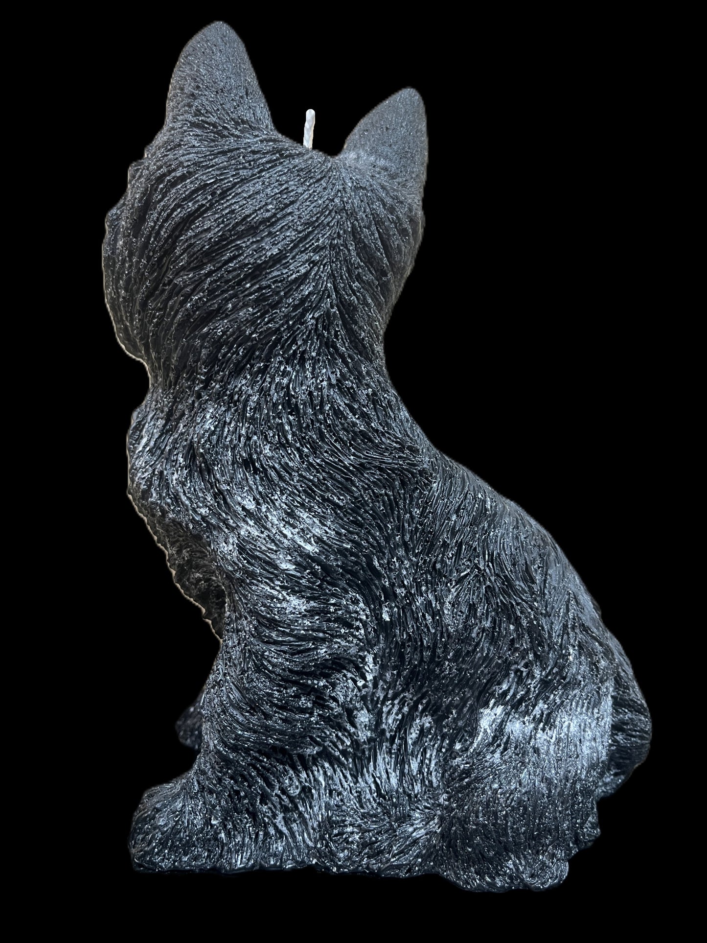 YORKSHIRE TERRIER nero