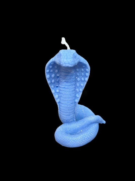 SERPENTE COBRA azzurro