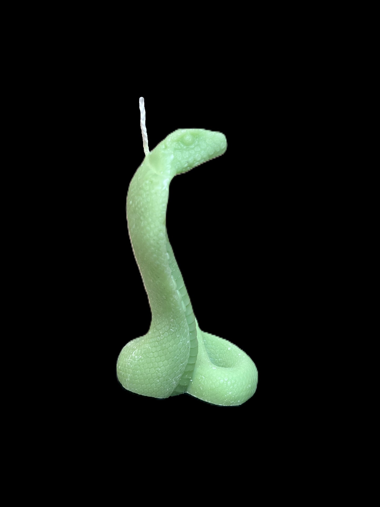 SERPENTE COBRA verde