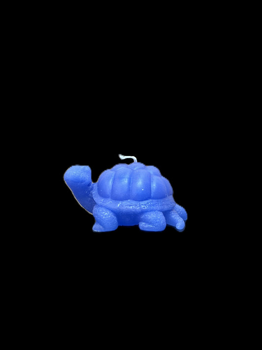 TARTARUGA DI TERRA viola