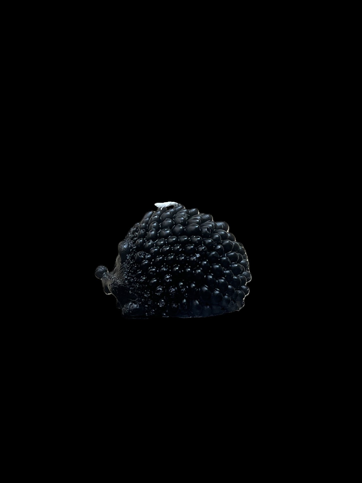 RICCIO nero