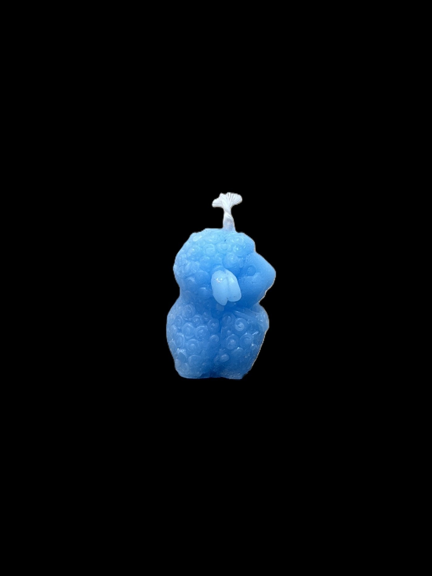 PECORA azzurro