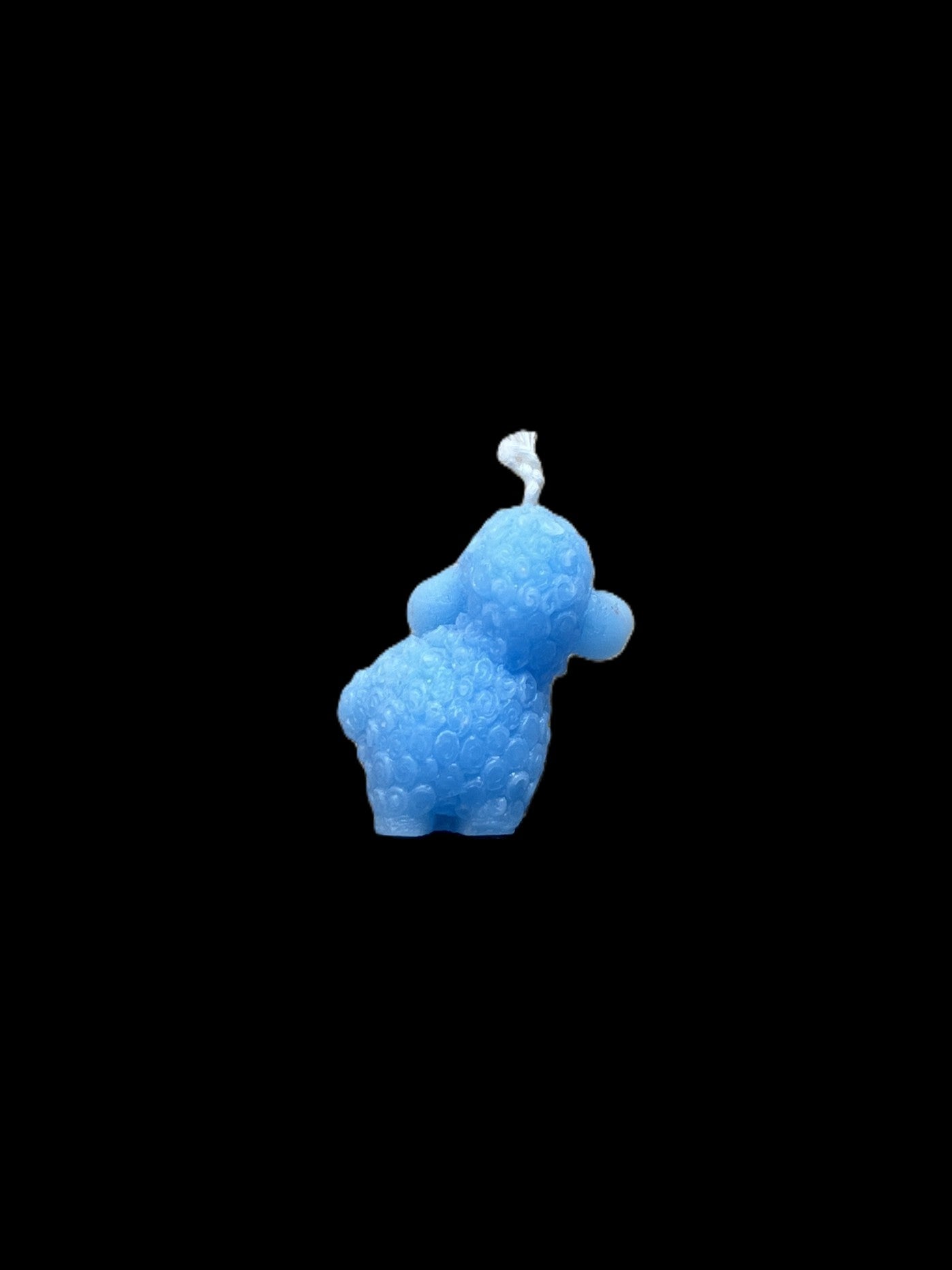 PECORA azzurro
