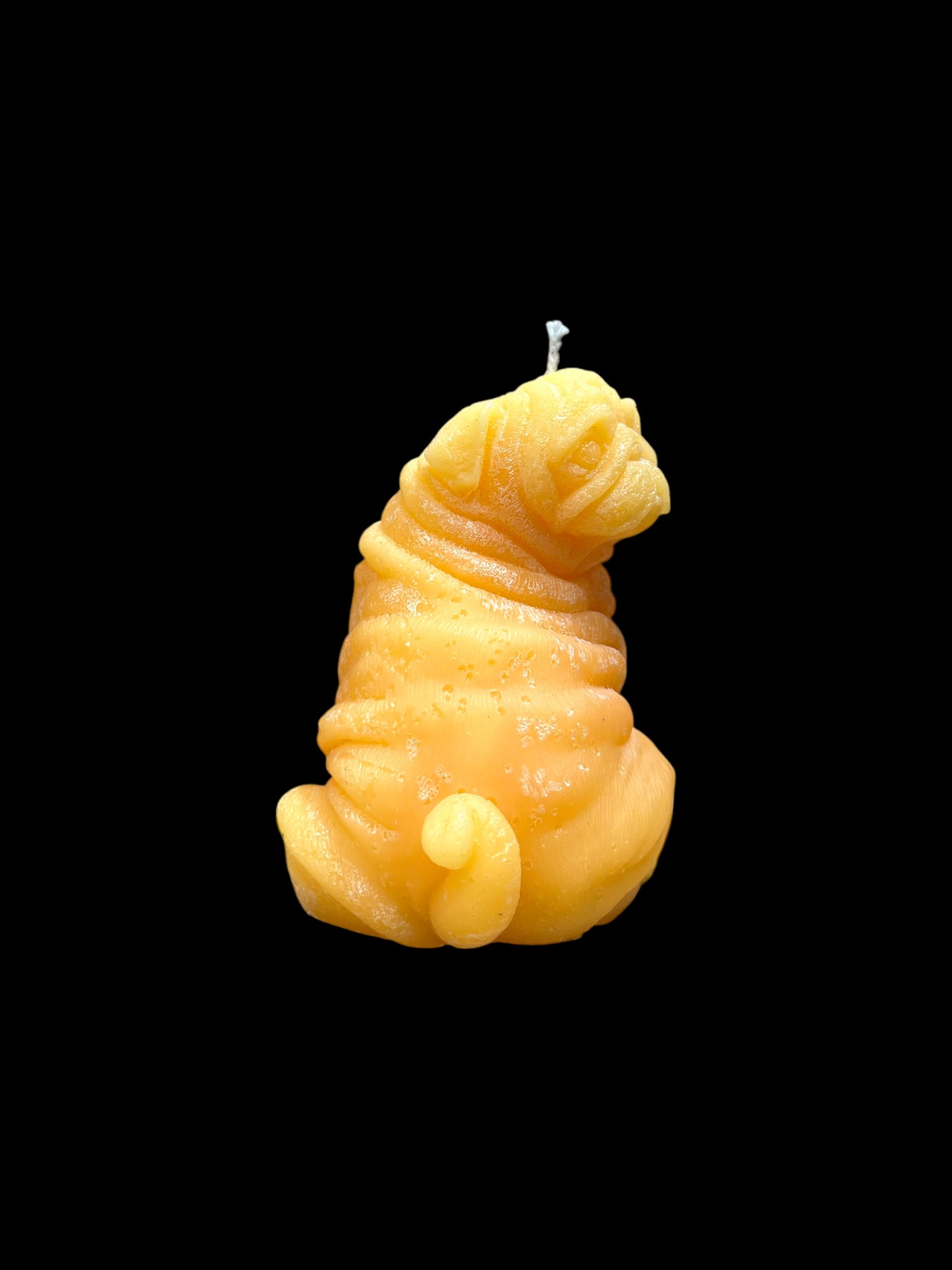 CARLINO giallo