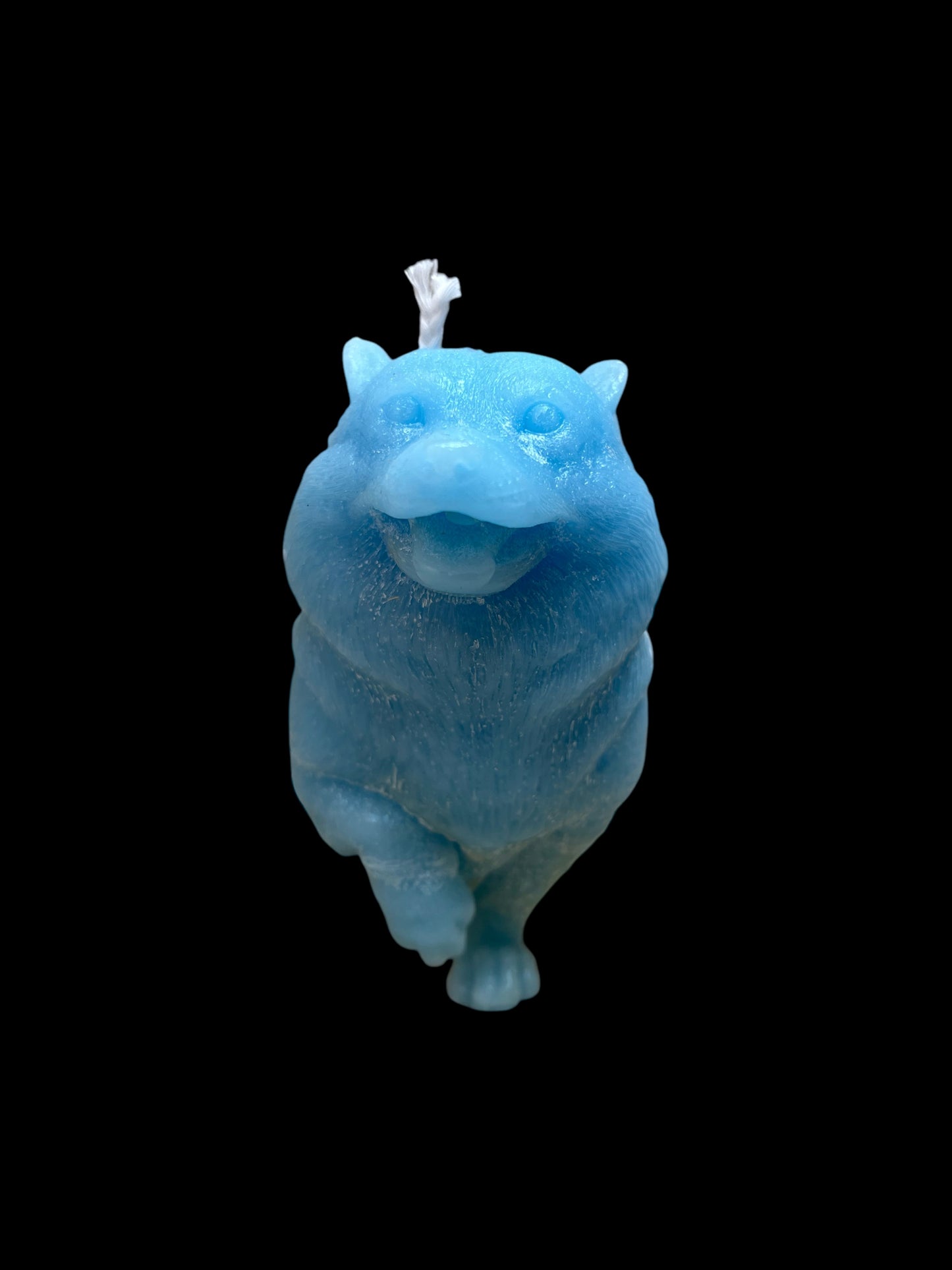 CORGI azzurro