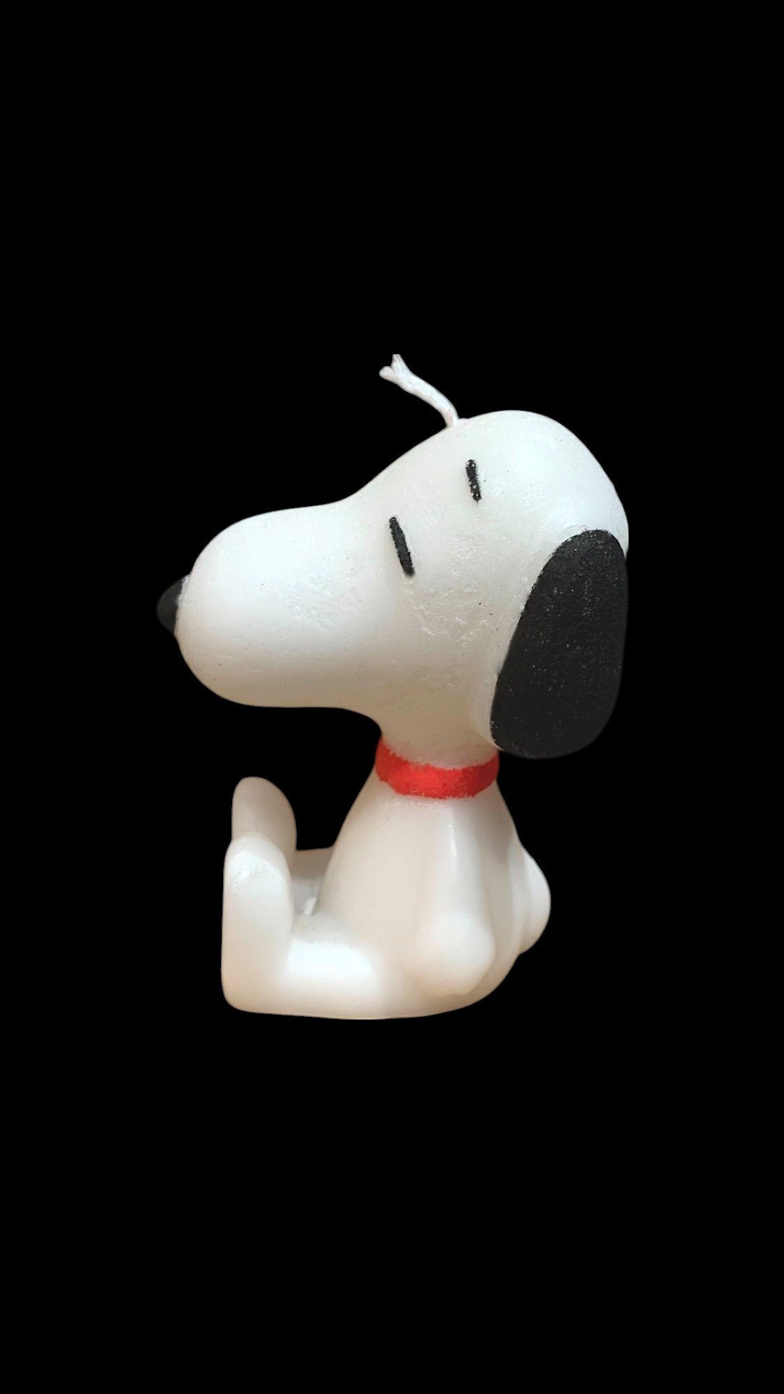 SNOOPY