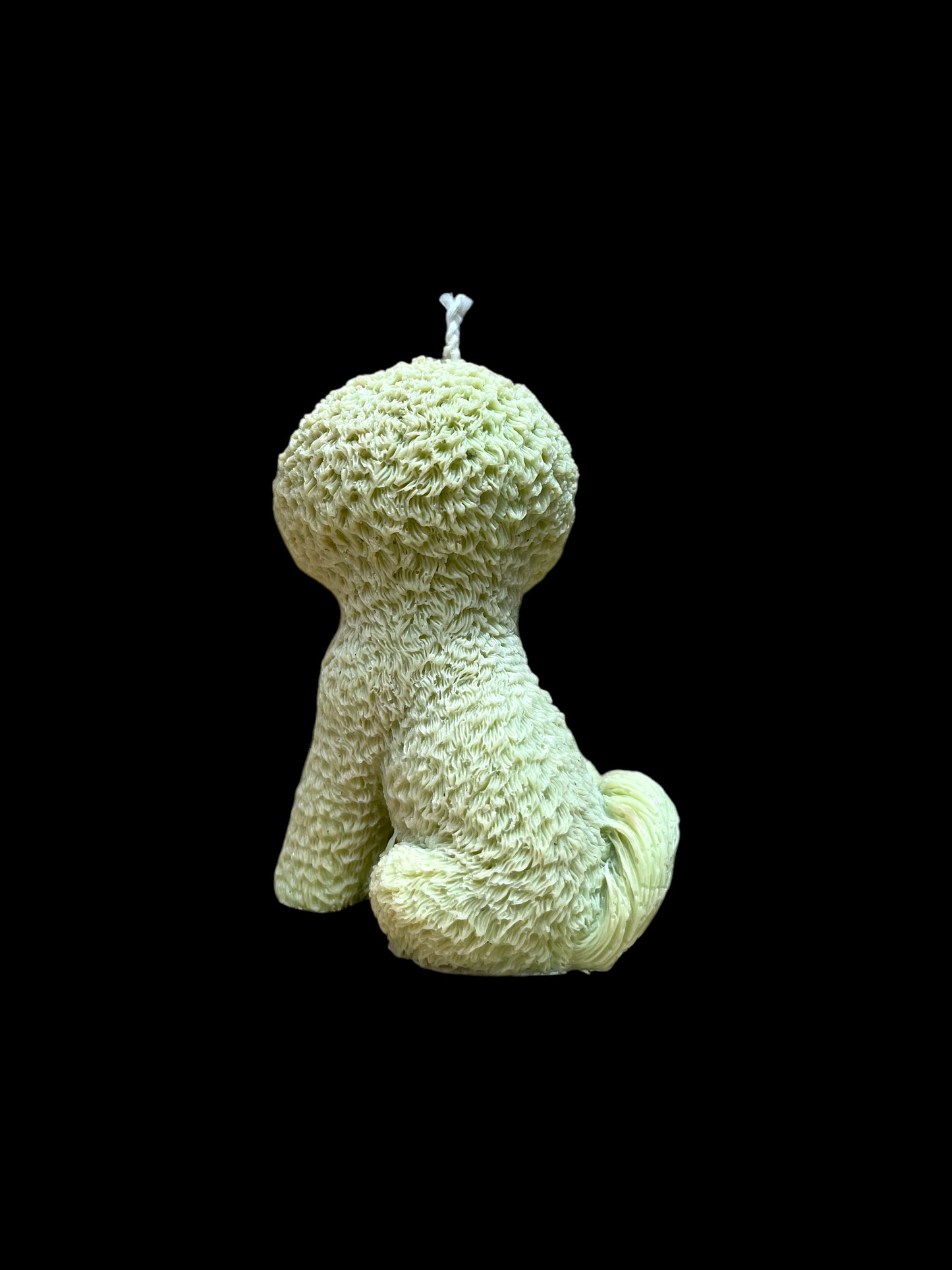 BICHON FRISÈ verde