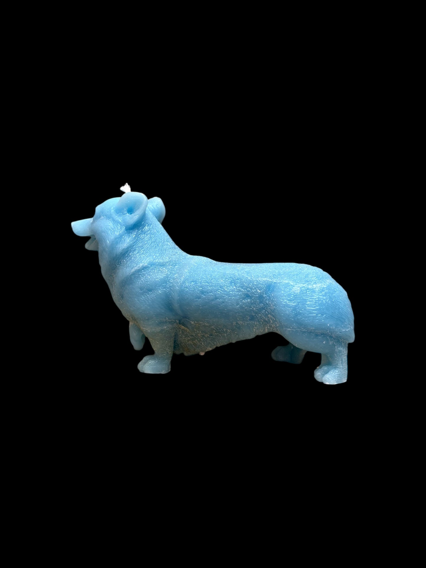 CORGI azzurro