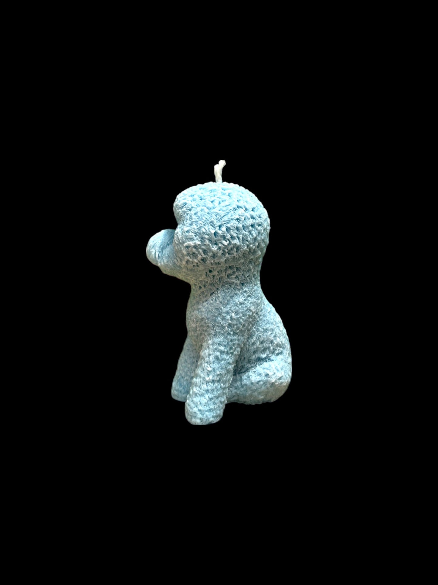 BICHON FRISÈ azzurro