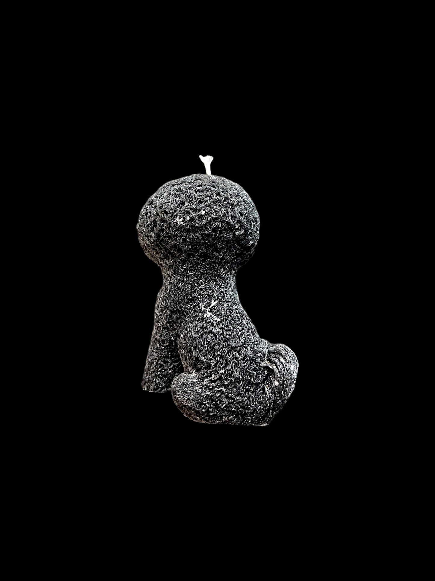 BICHON FRISÈ nero