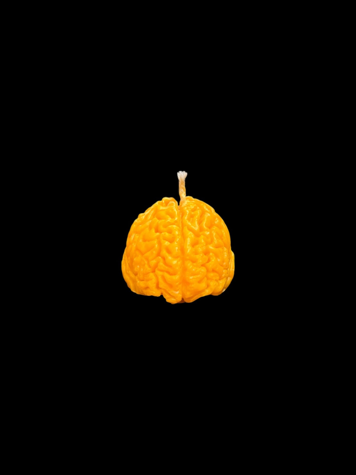 CERVELLO giallo
