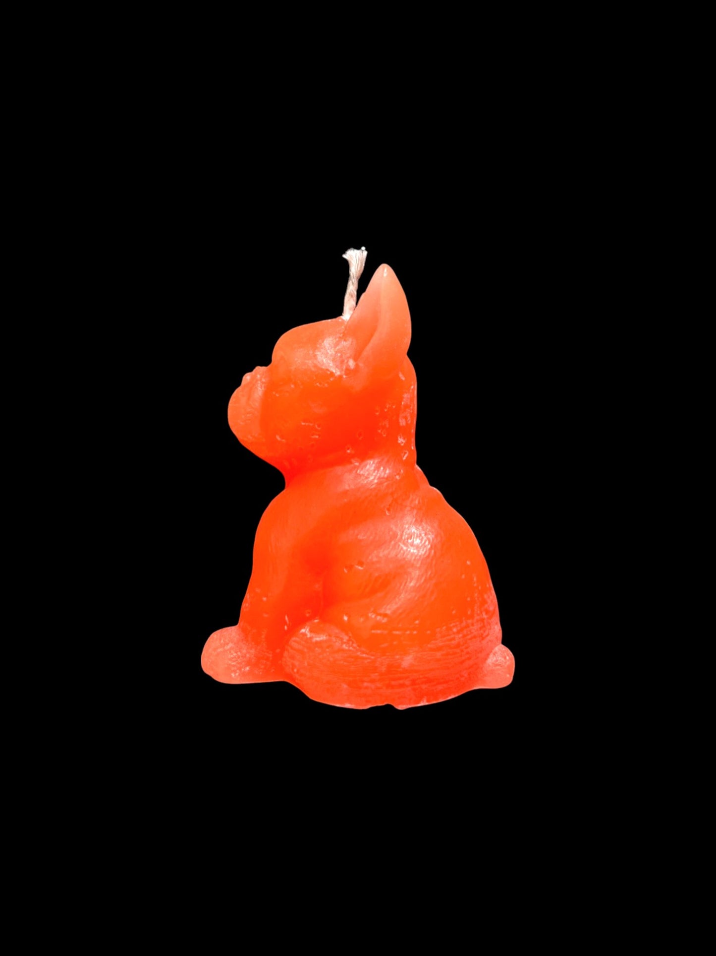 BULLDOG arancio fluo