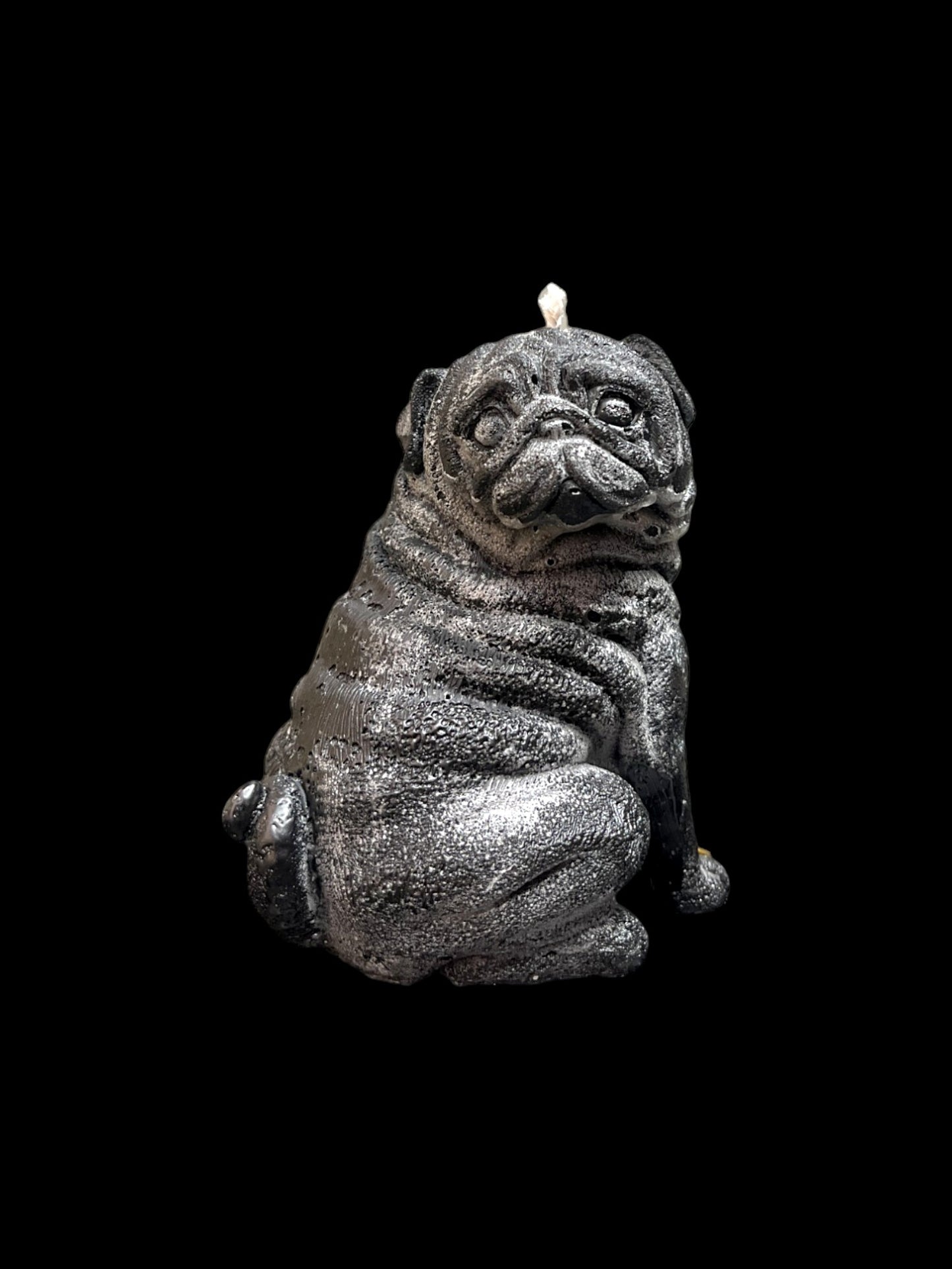 CARLINO nero