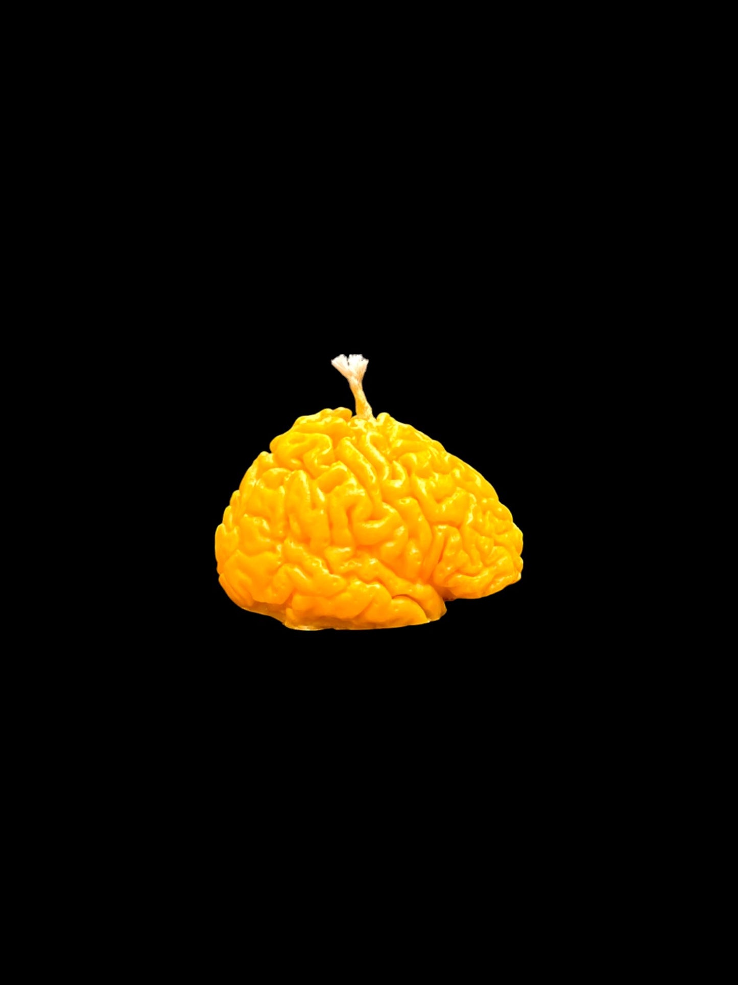 CERVELLO giallo