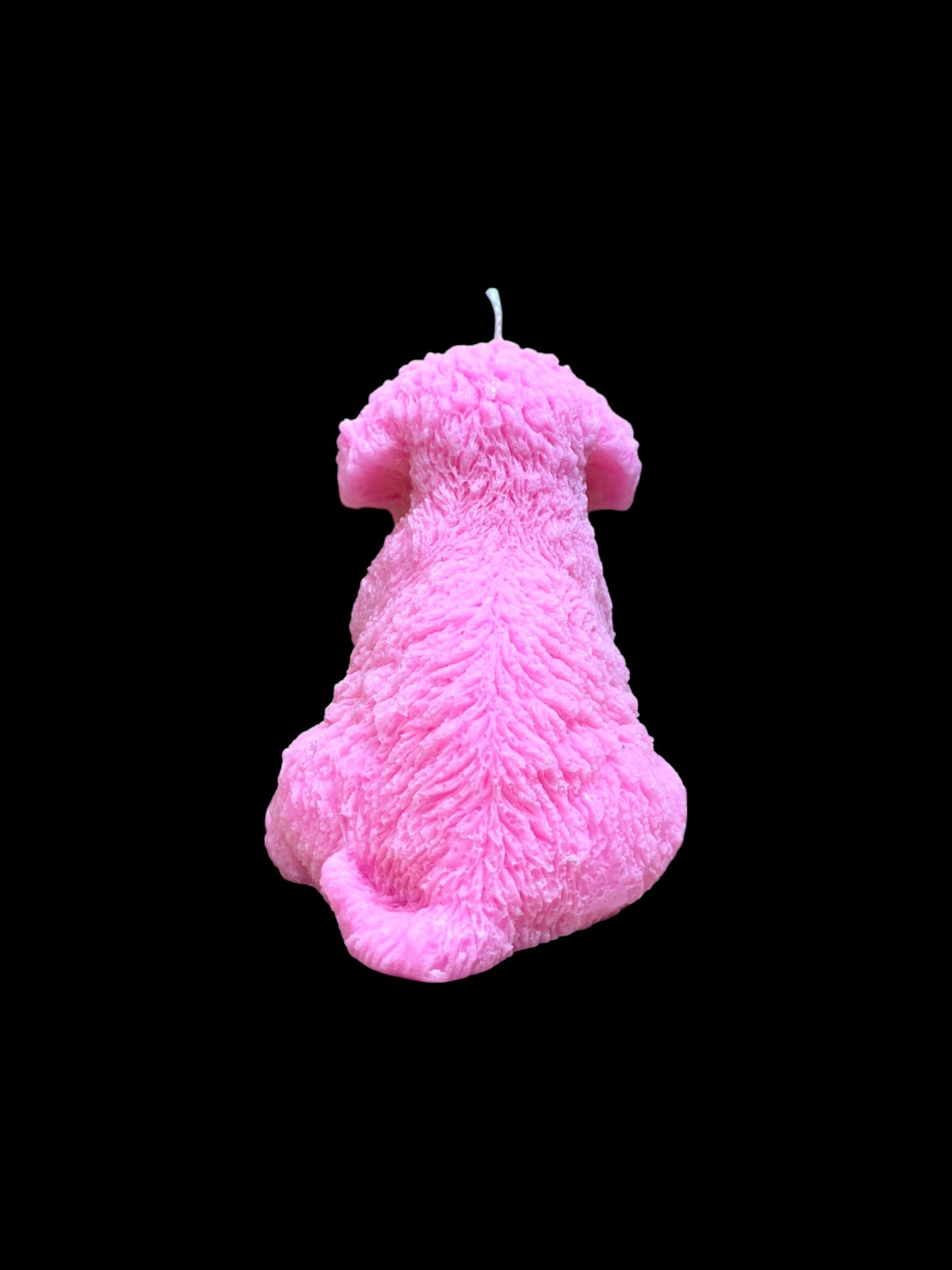MALTIPOO rosa