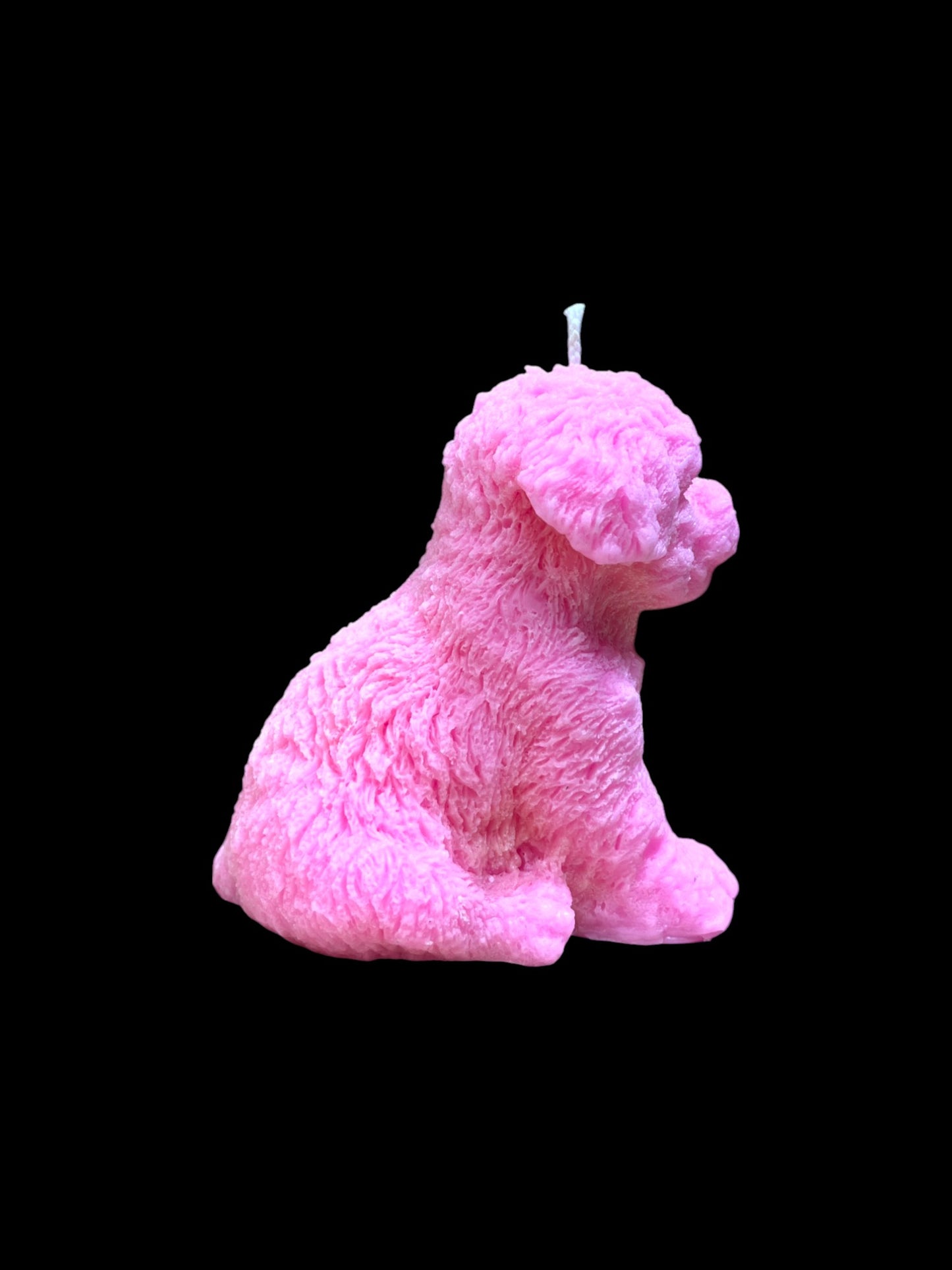 MALTIPOO rosa