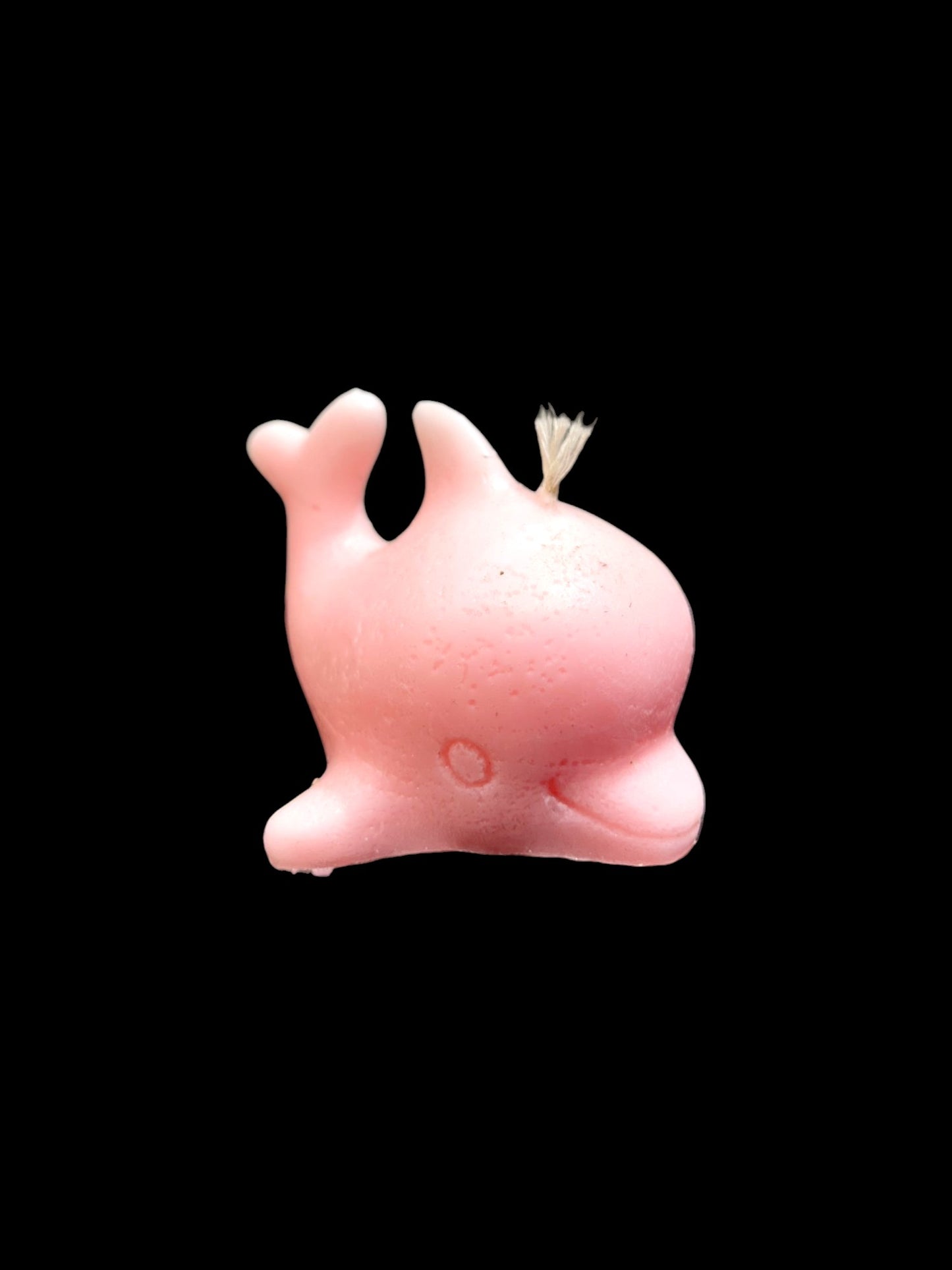 DELFINO rosa