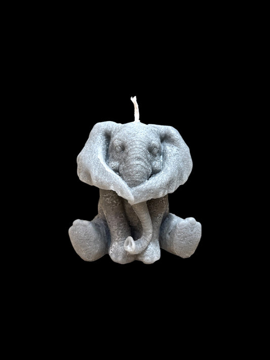ELEFANTE grigio