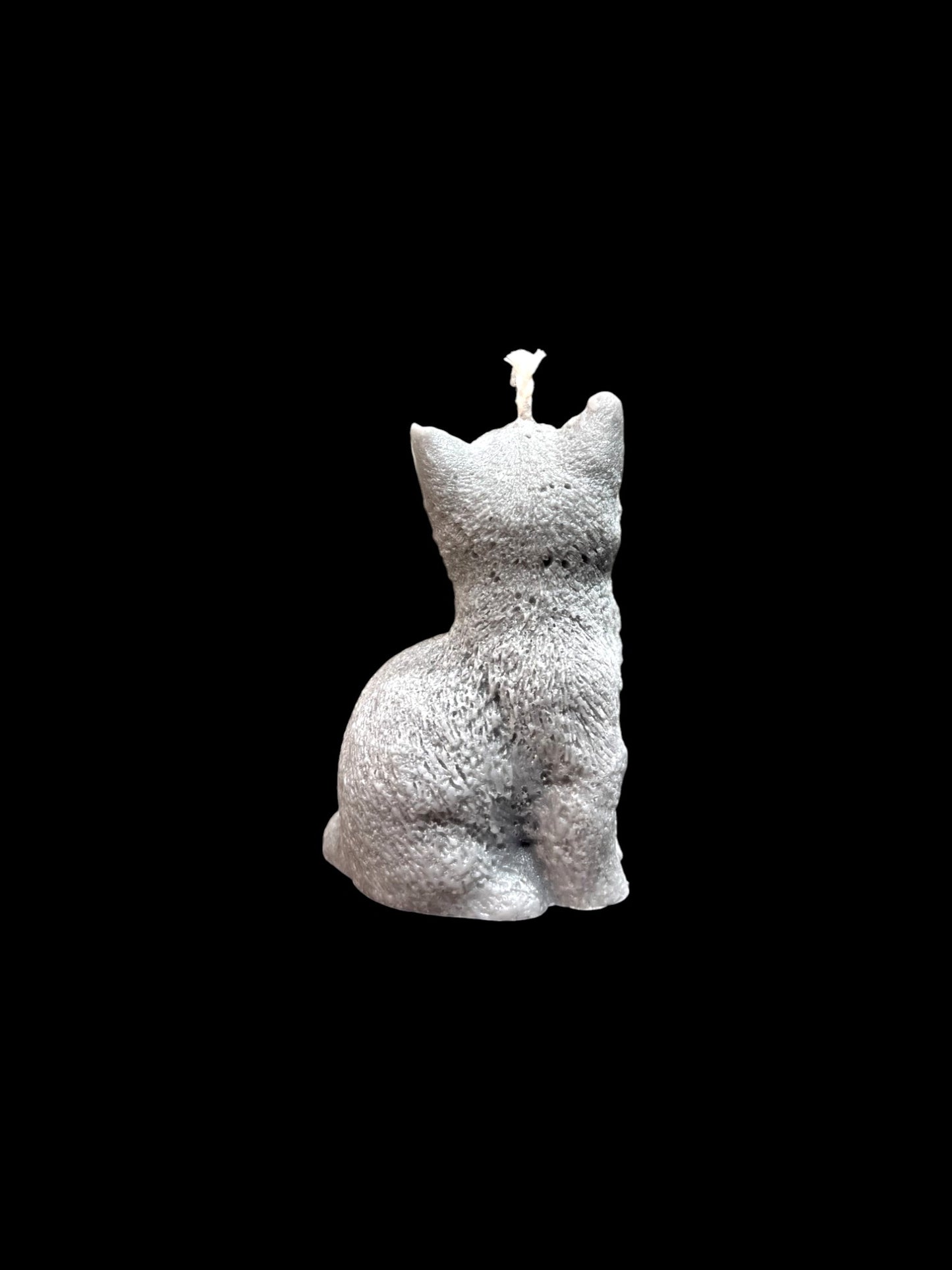 GATTO grigio