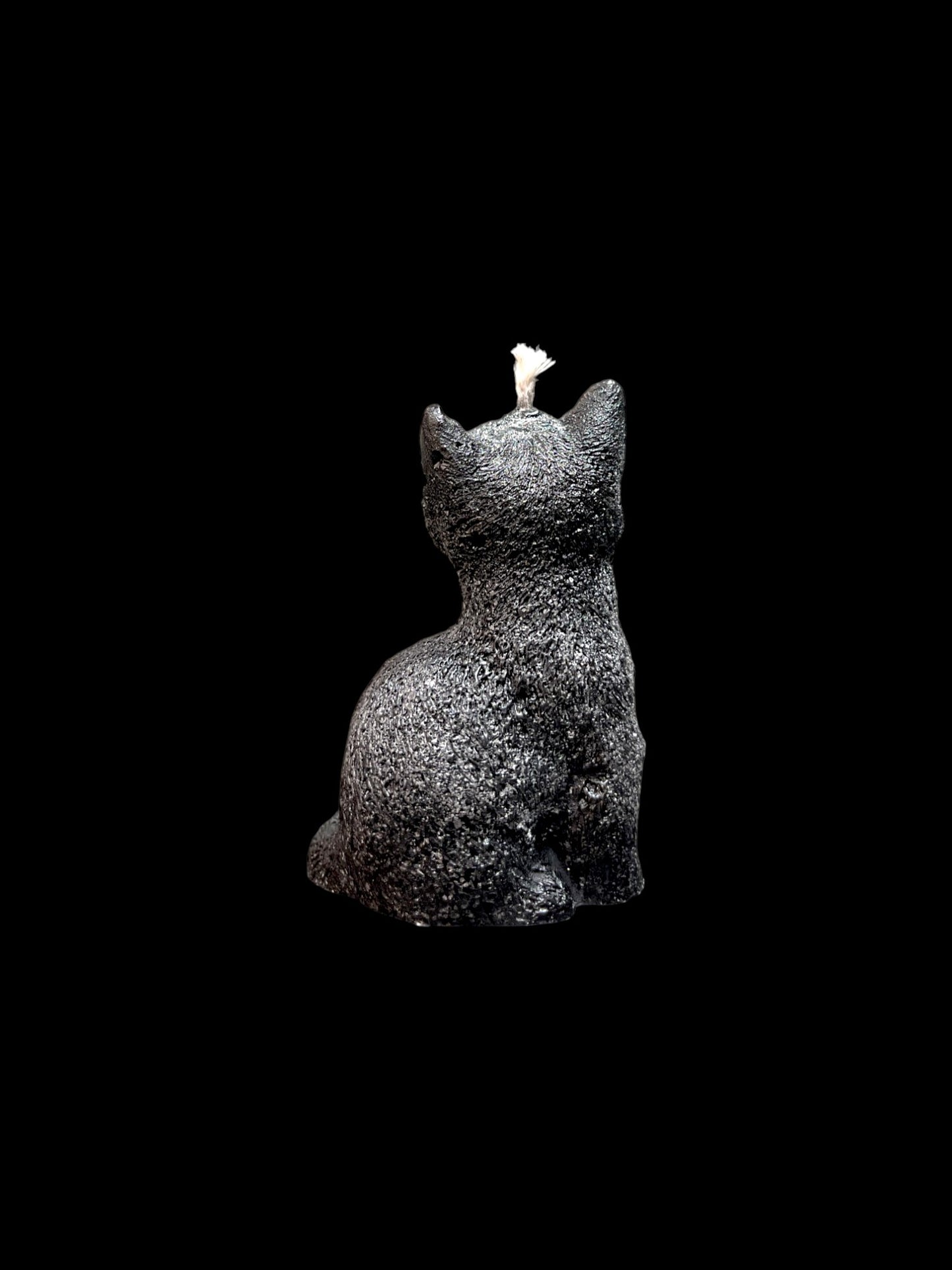 GATTO nero