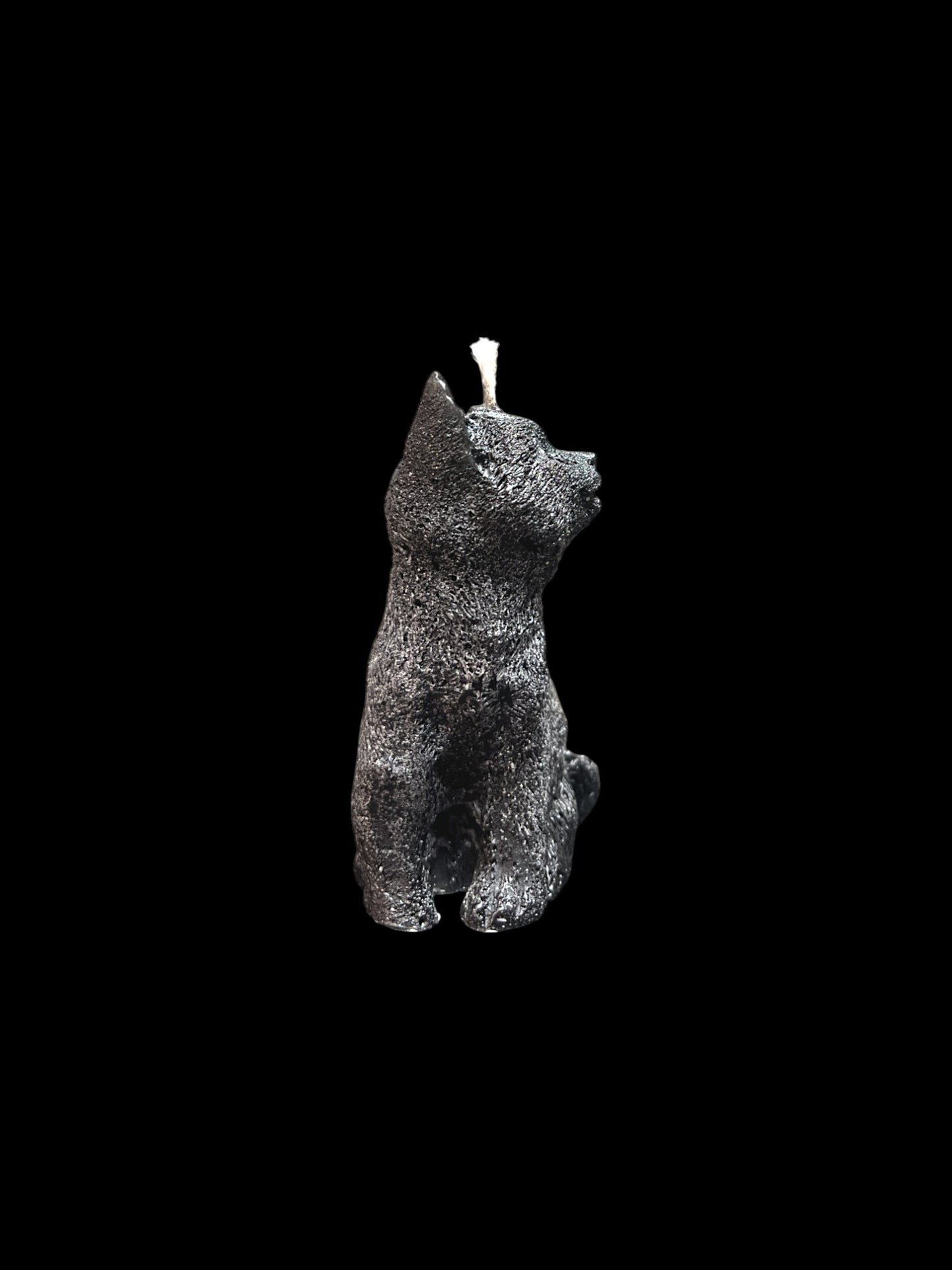 GATTO nero